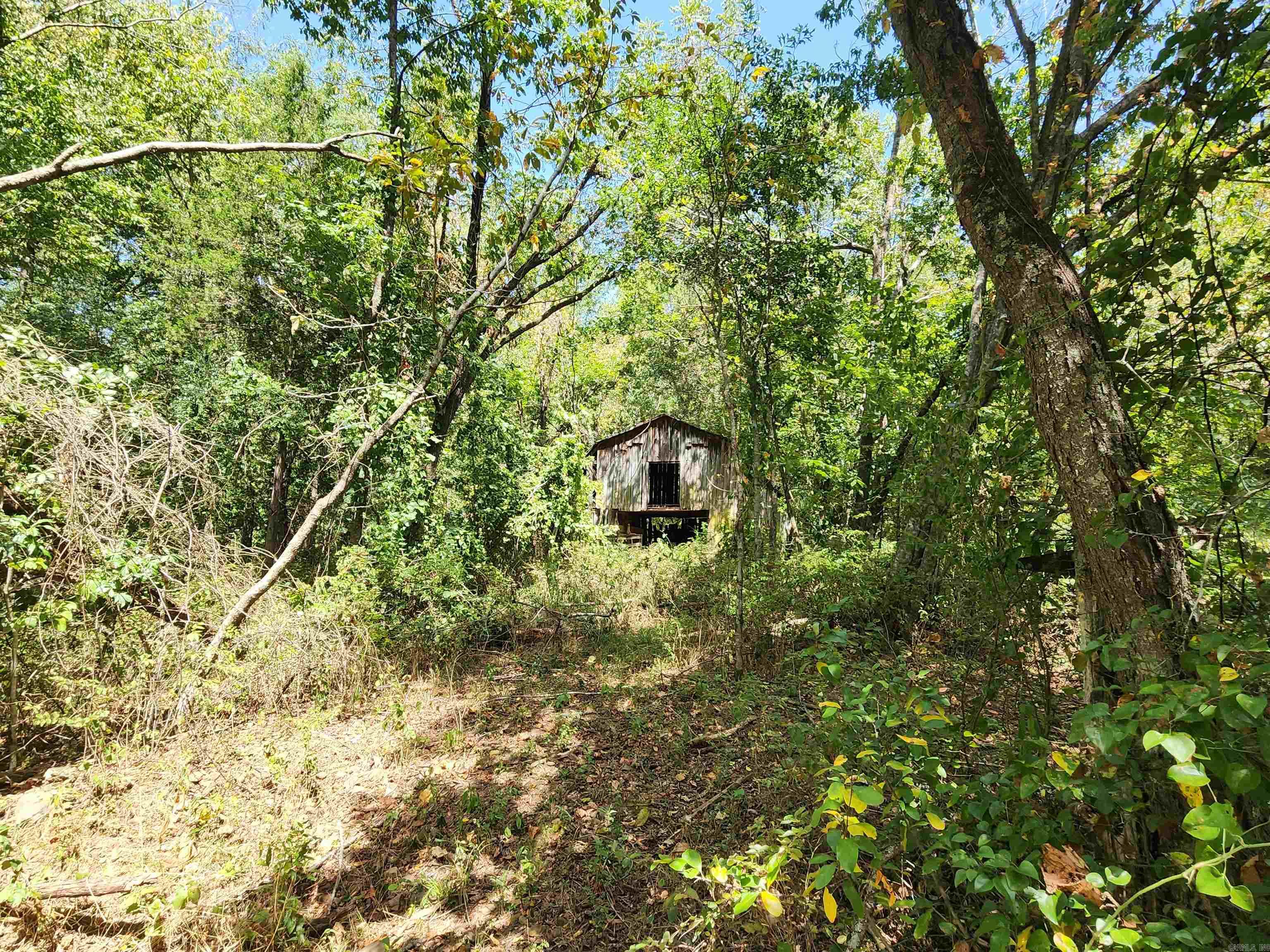 00 Ramer Ford Road Property Photo 41