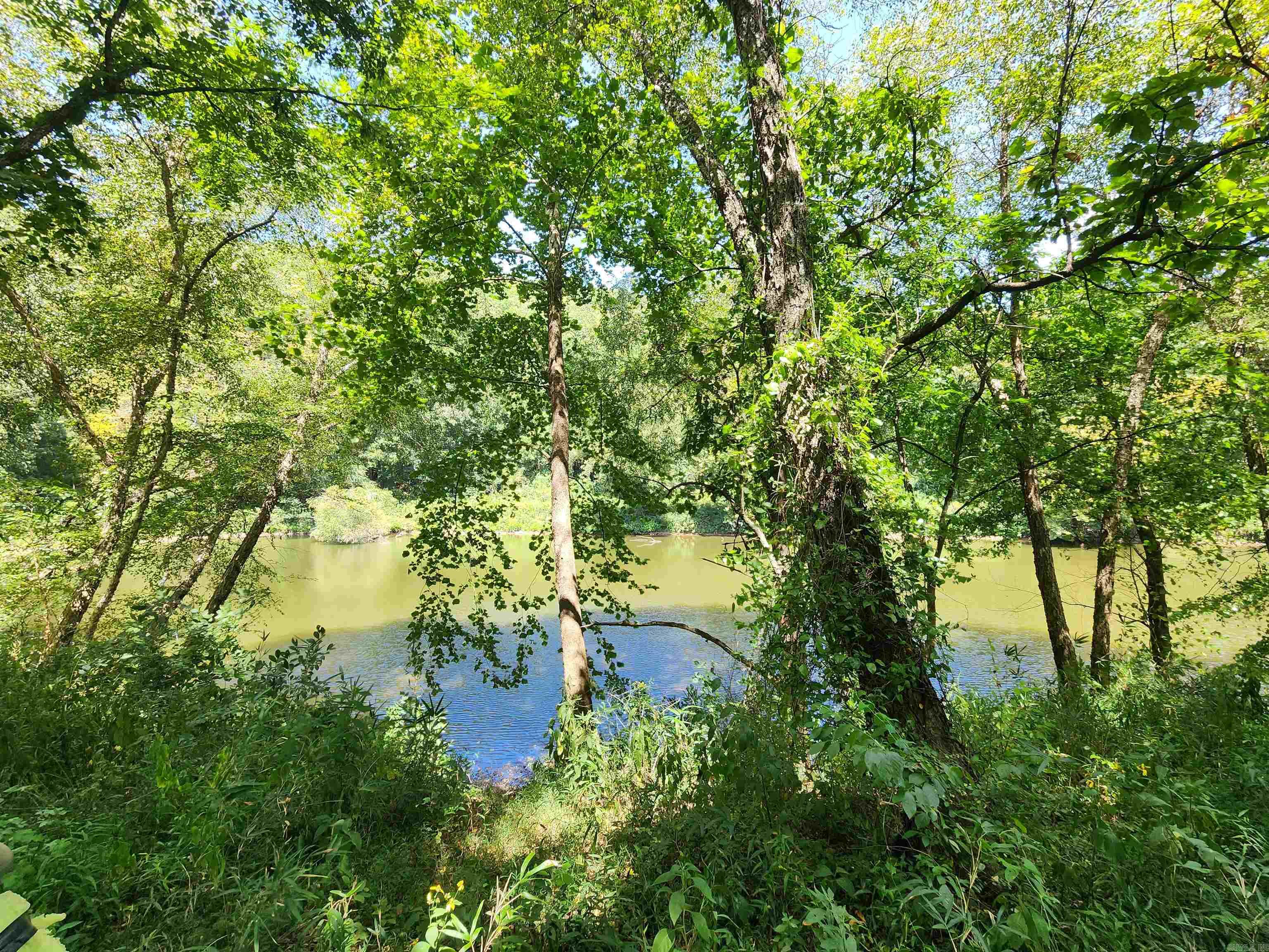 00 Ramer Ford Road Property Photo 44