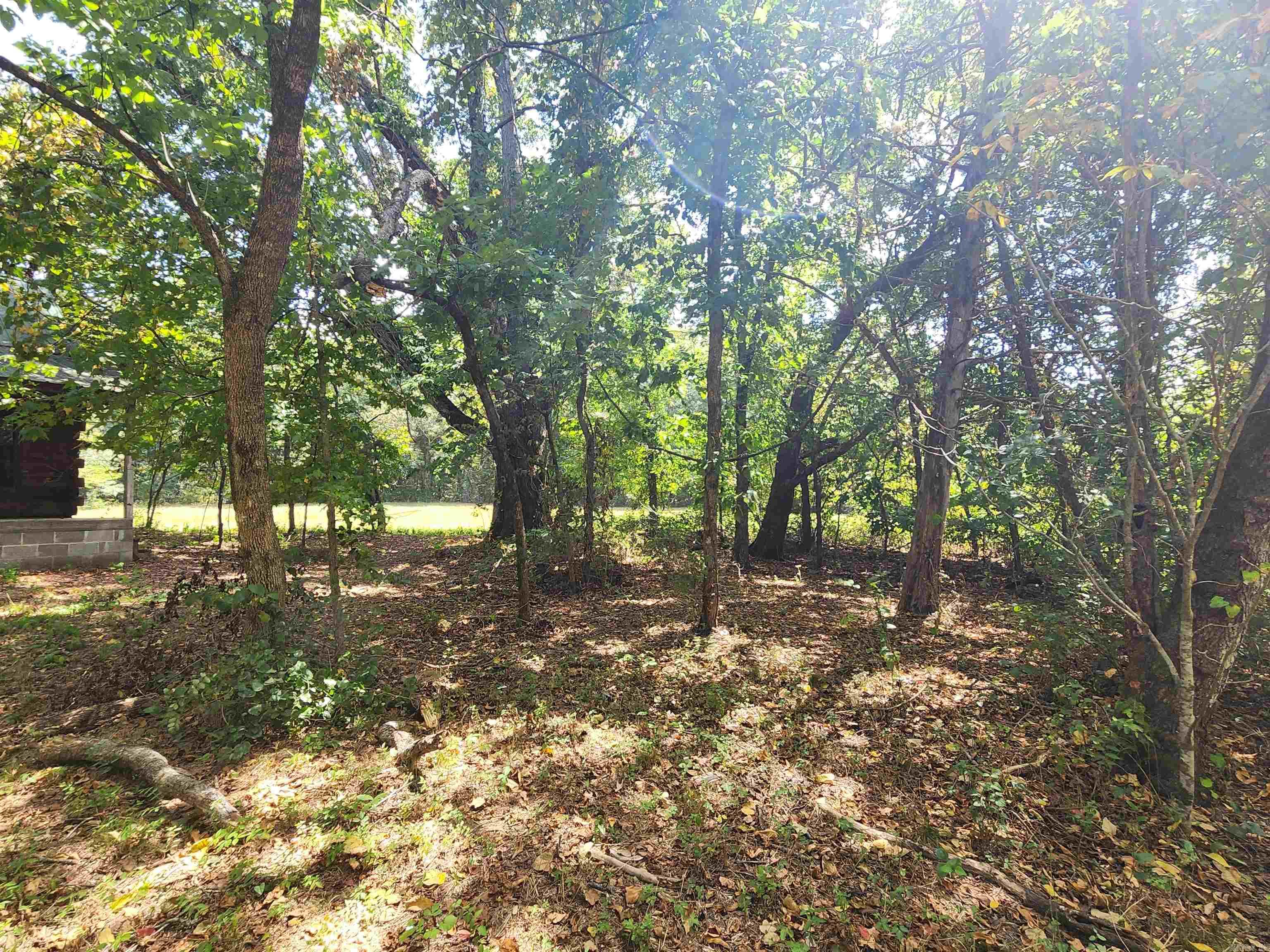 00 Ramer Ford Road Property Photo 49