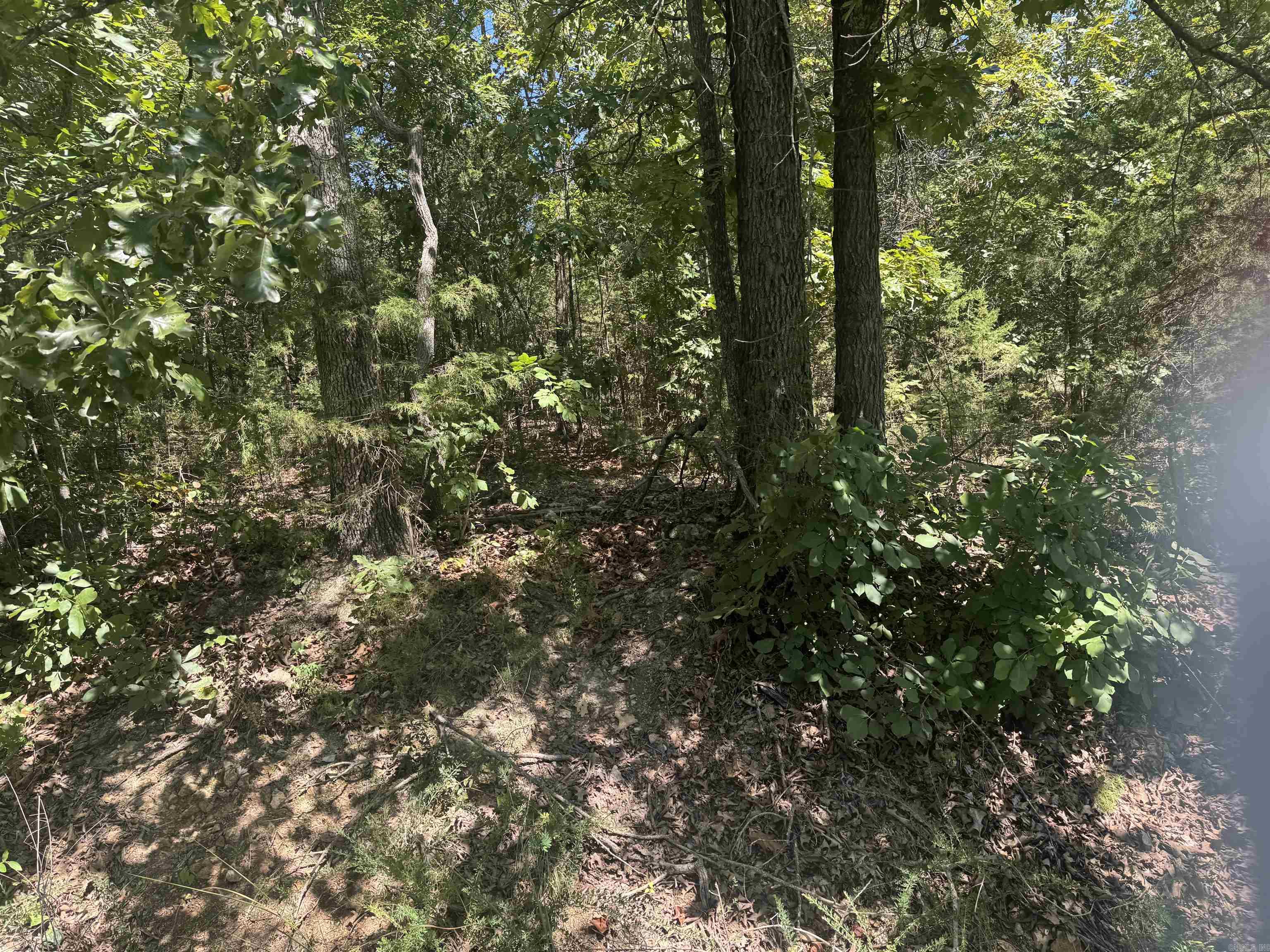 00 Lynette Ave Property Photo 1