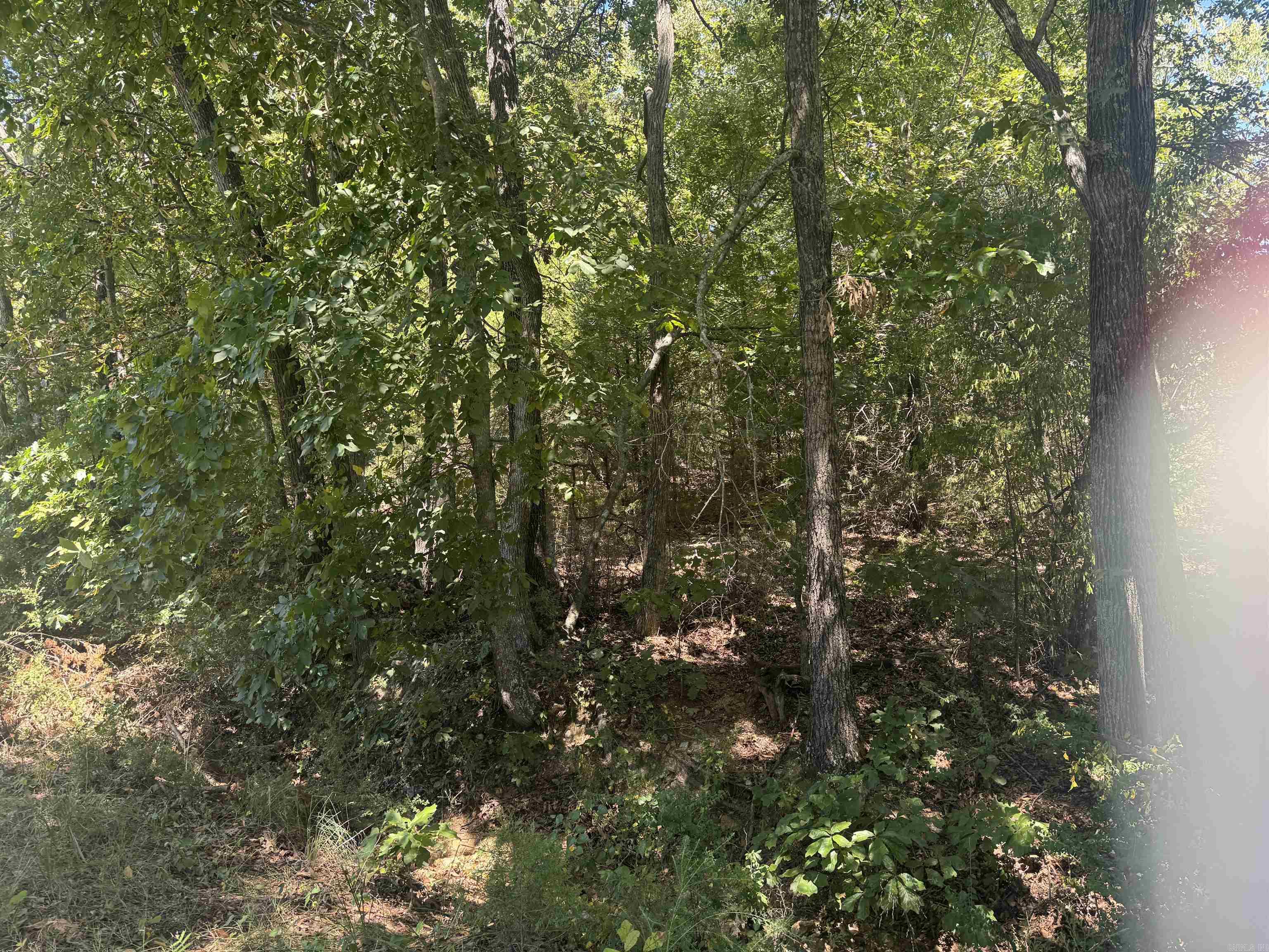 00 Lynette Ave Property Photo 3