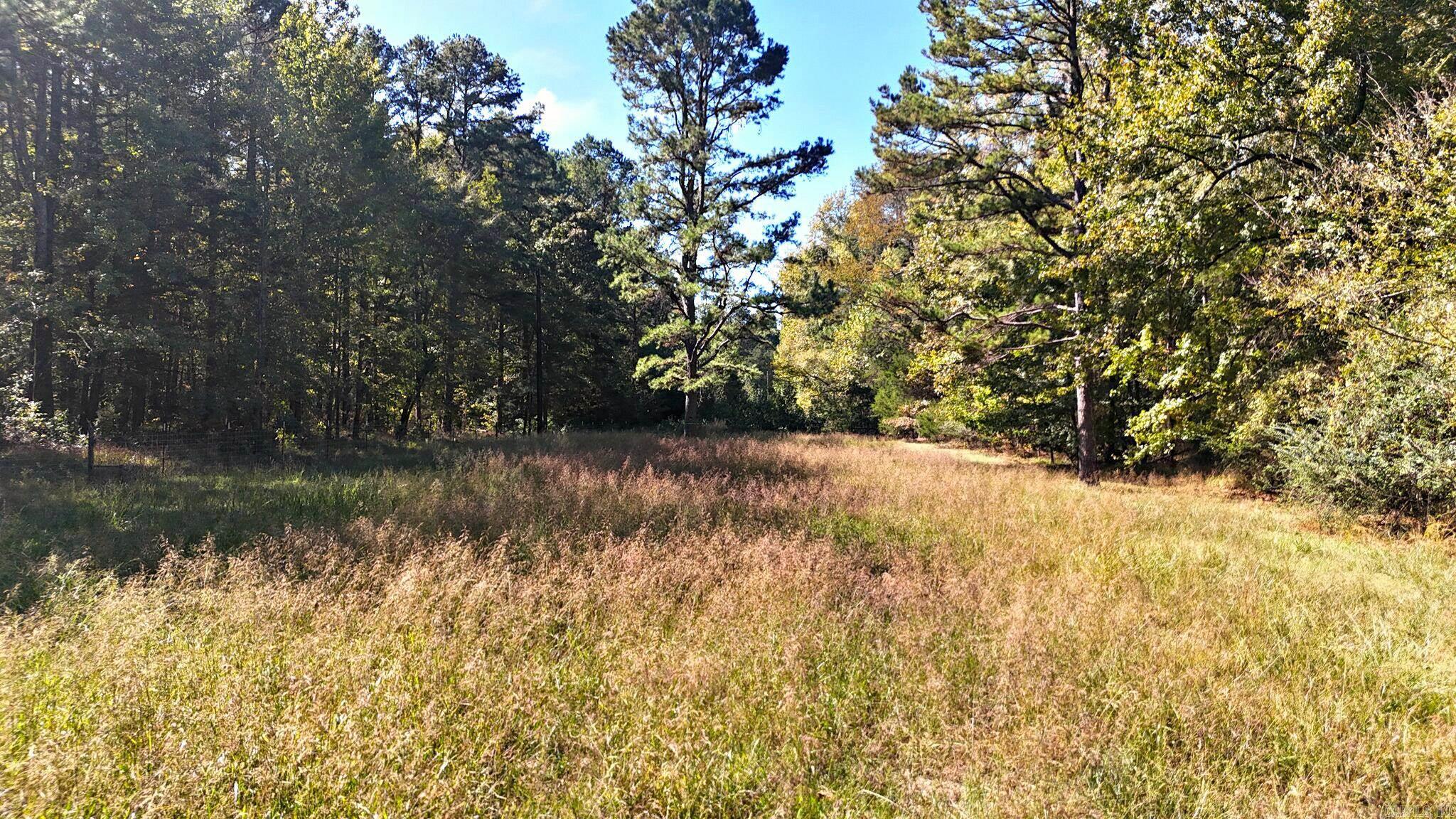 383 Polk Road 675 Property Photo 3