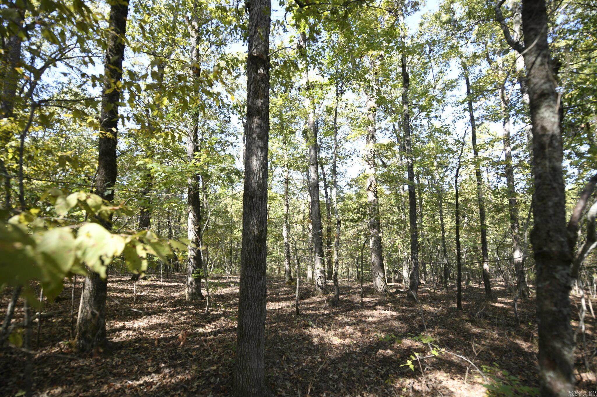 383 Polk Road 675 Property Photo 13