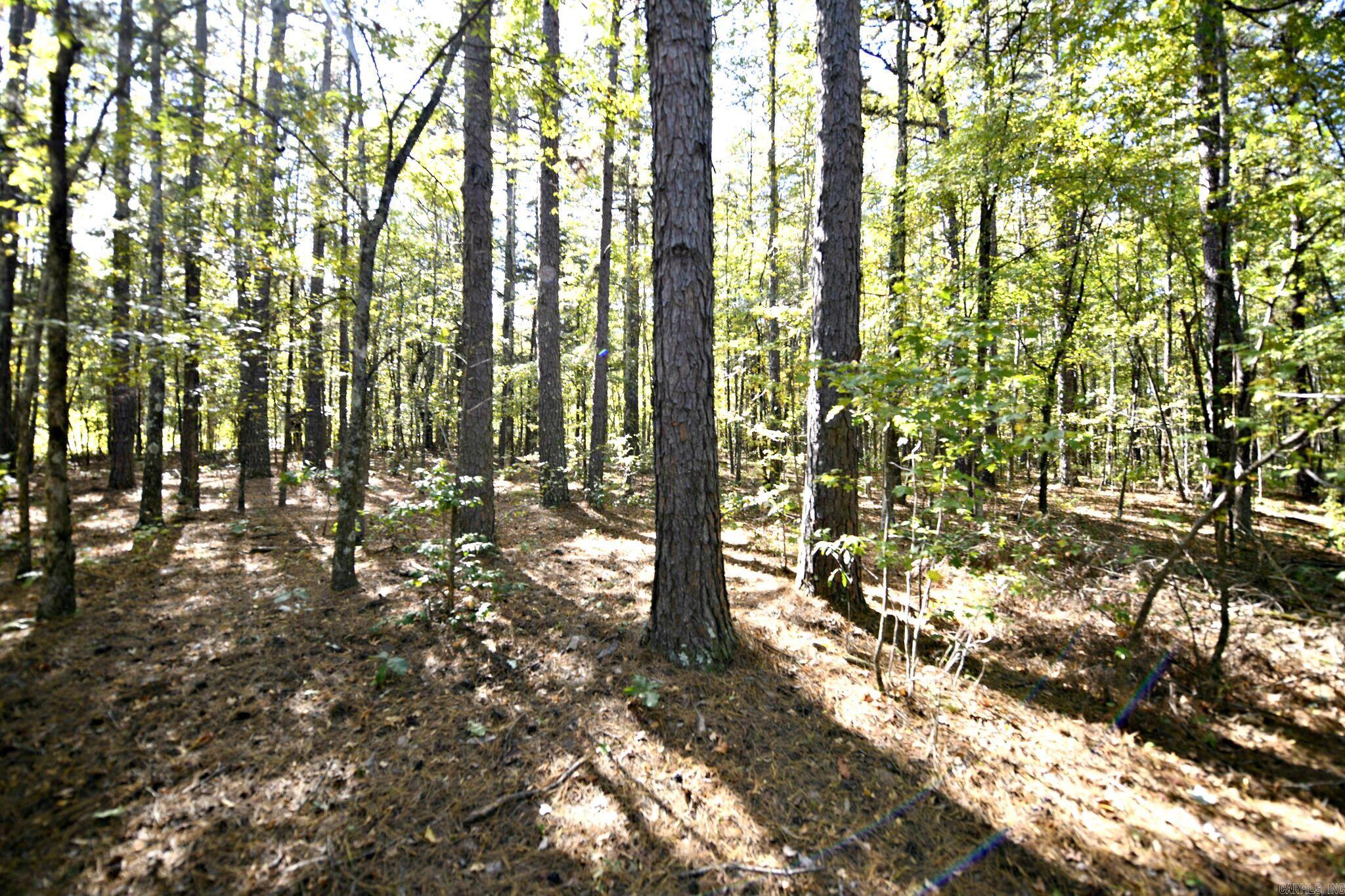 383 Polk Road 675 Property Photo 32