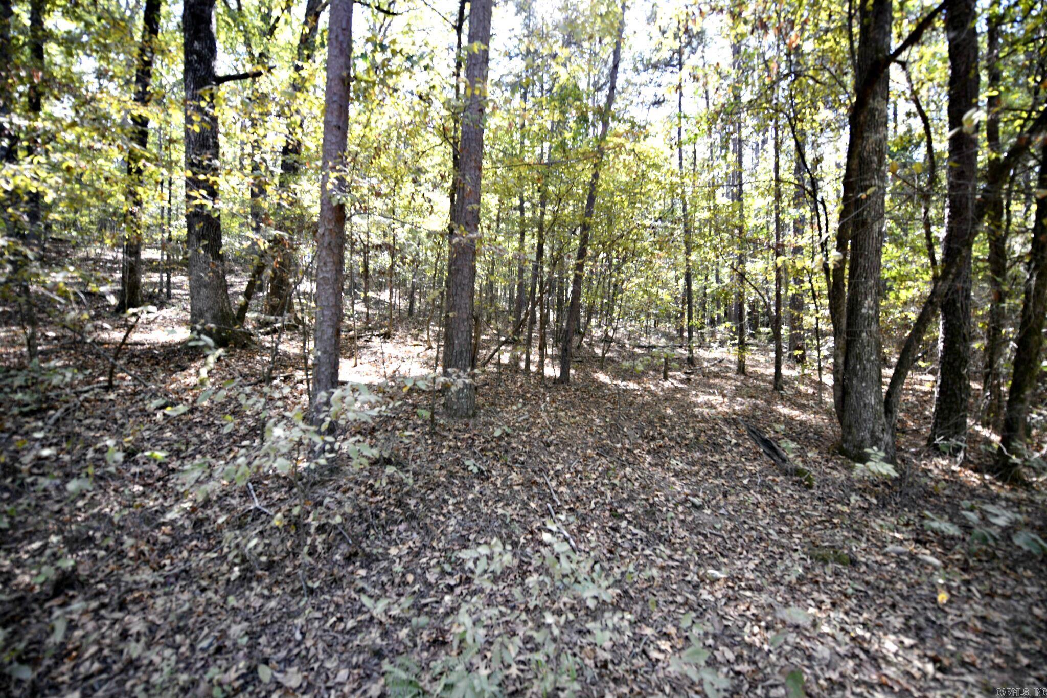 383 Polk Road 675 Property Photo 36
