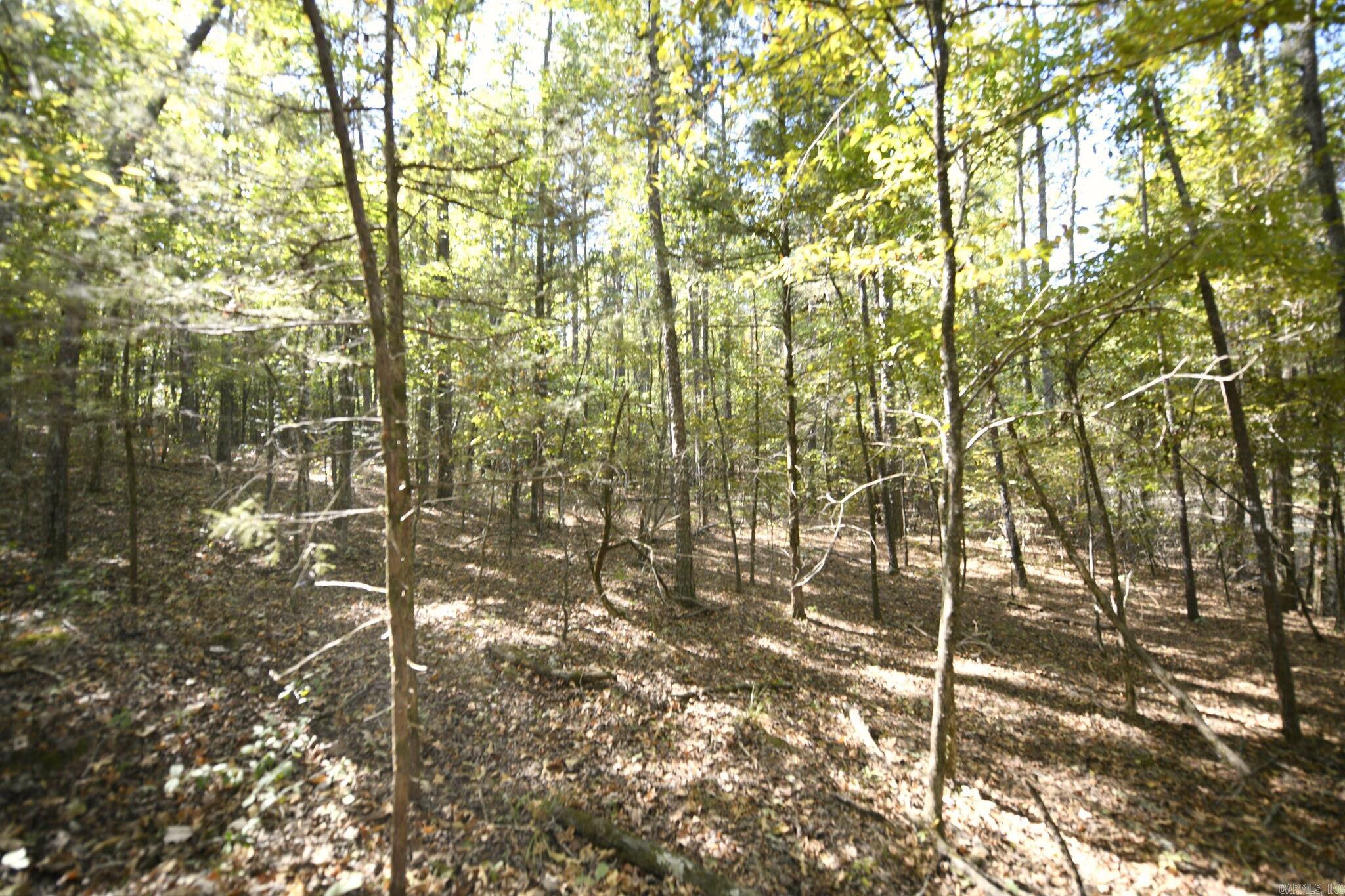 383 Polk Road 675 Property Photo 40