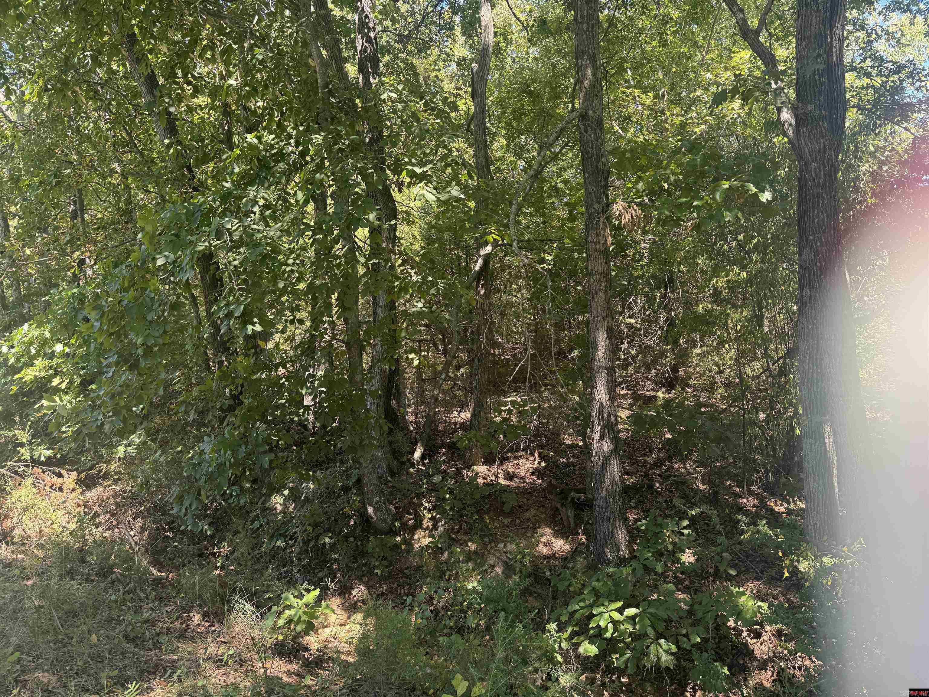 00 Lynnette Property Photo 1