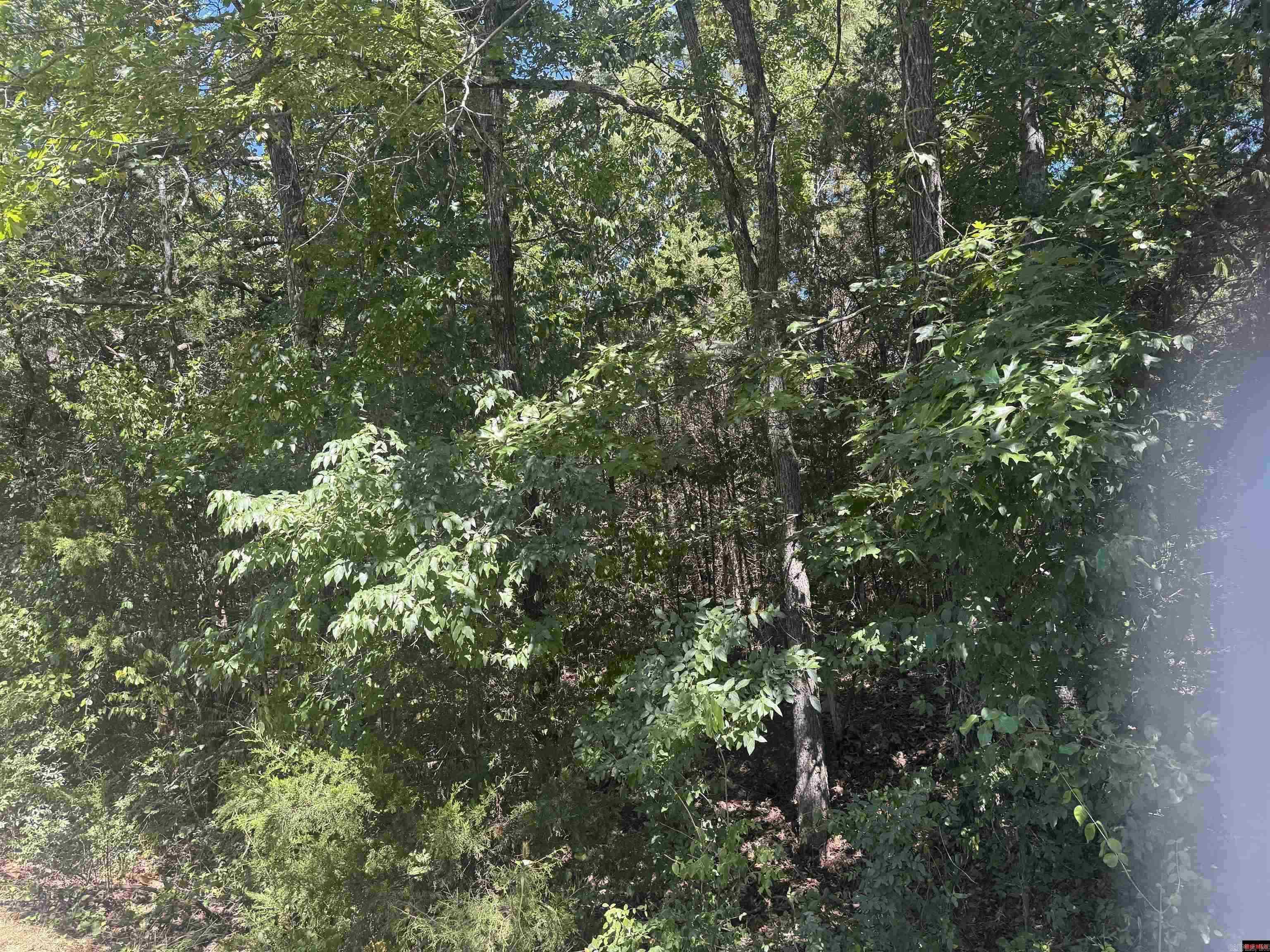 00 Lynnette Property Photo 2