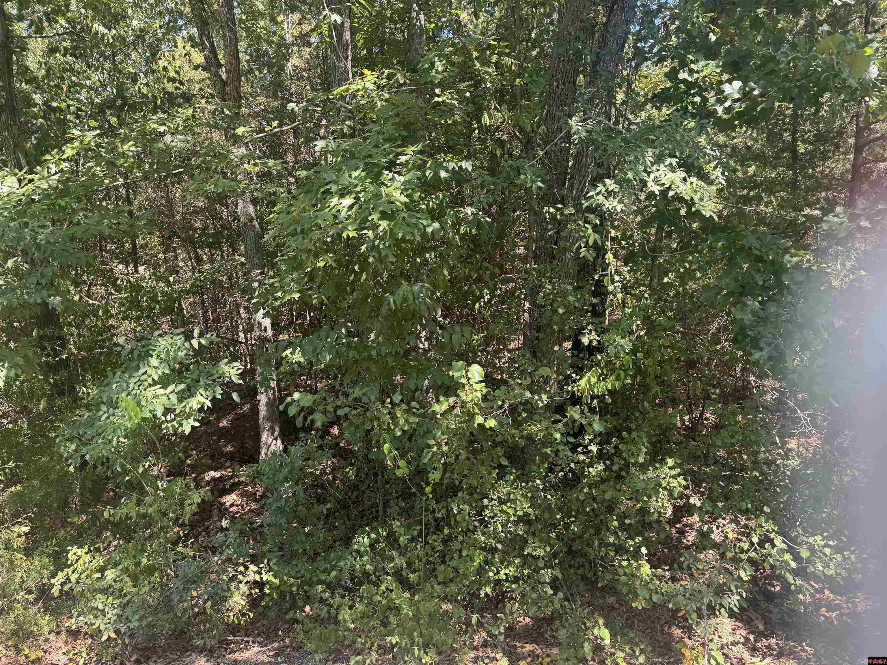 00 Lynnette Property Photo 4