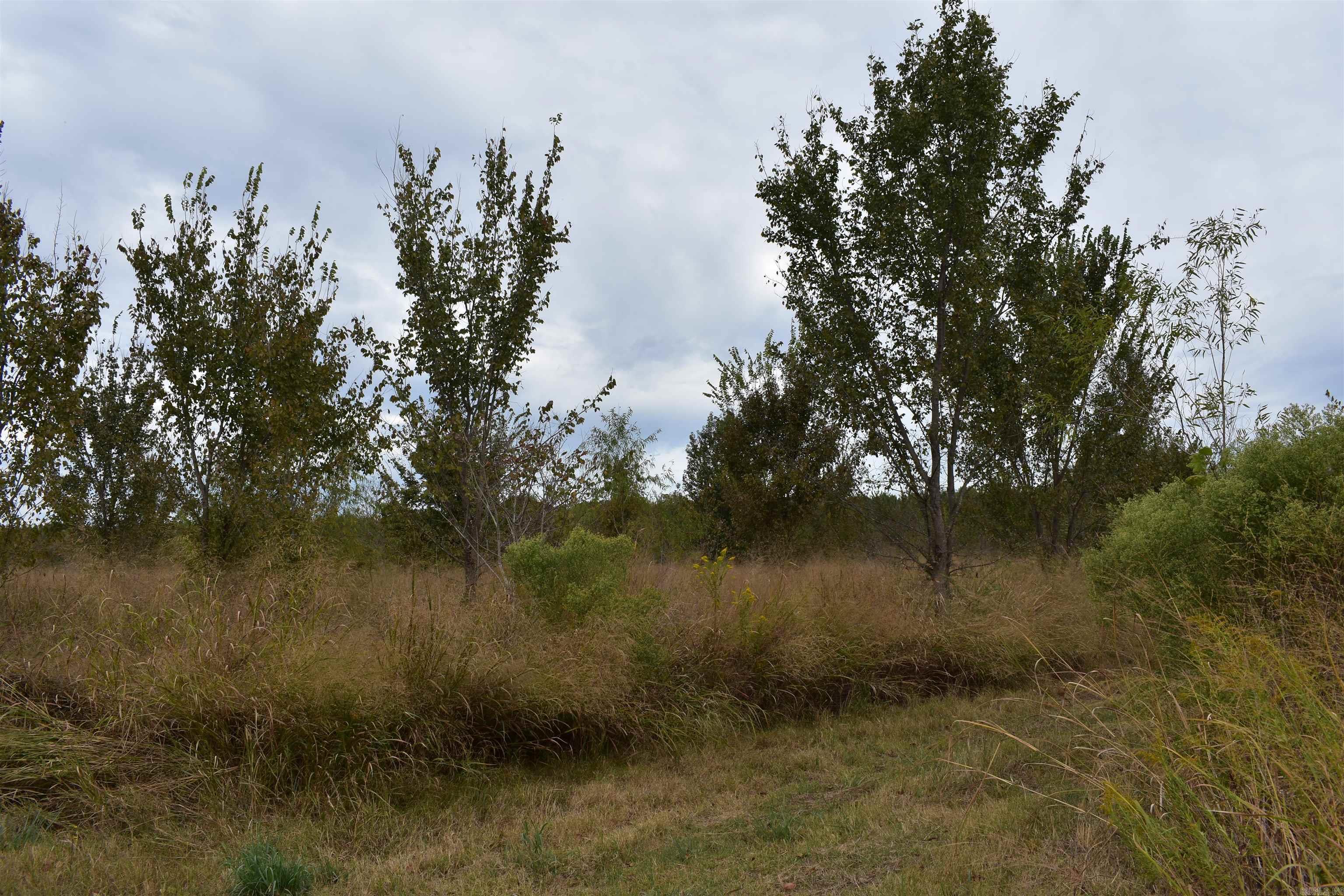1146 Hwy 385 S. Property Photo 15