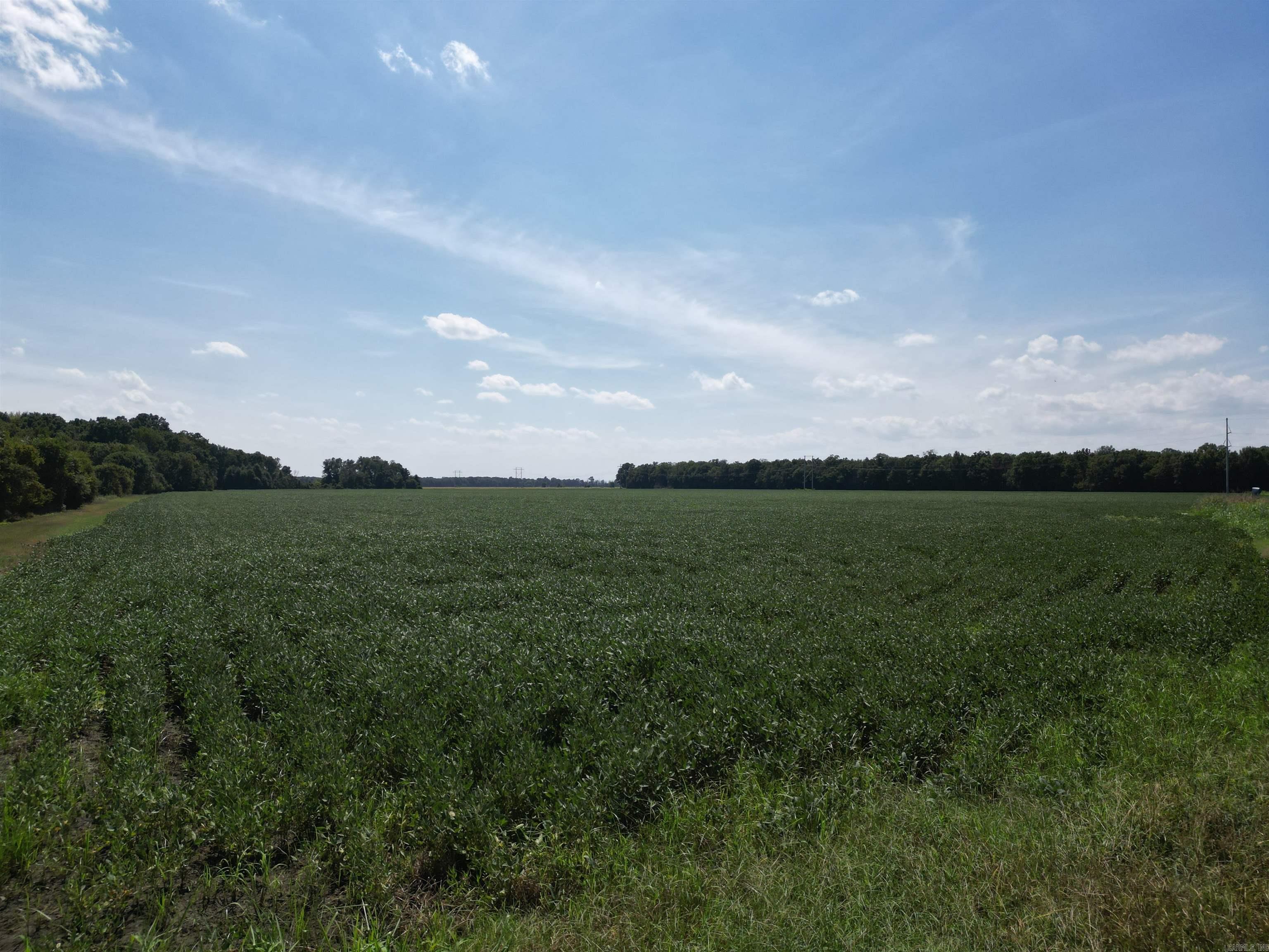 0000 Highway 367 N Property Photo 1