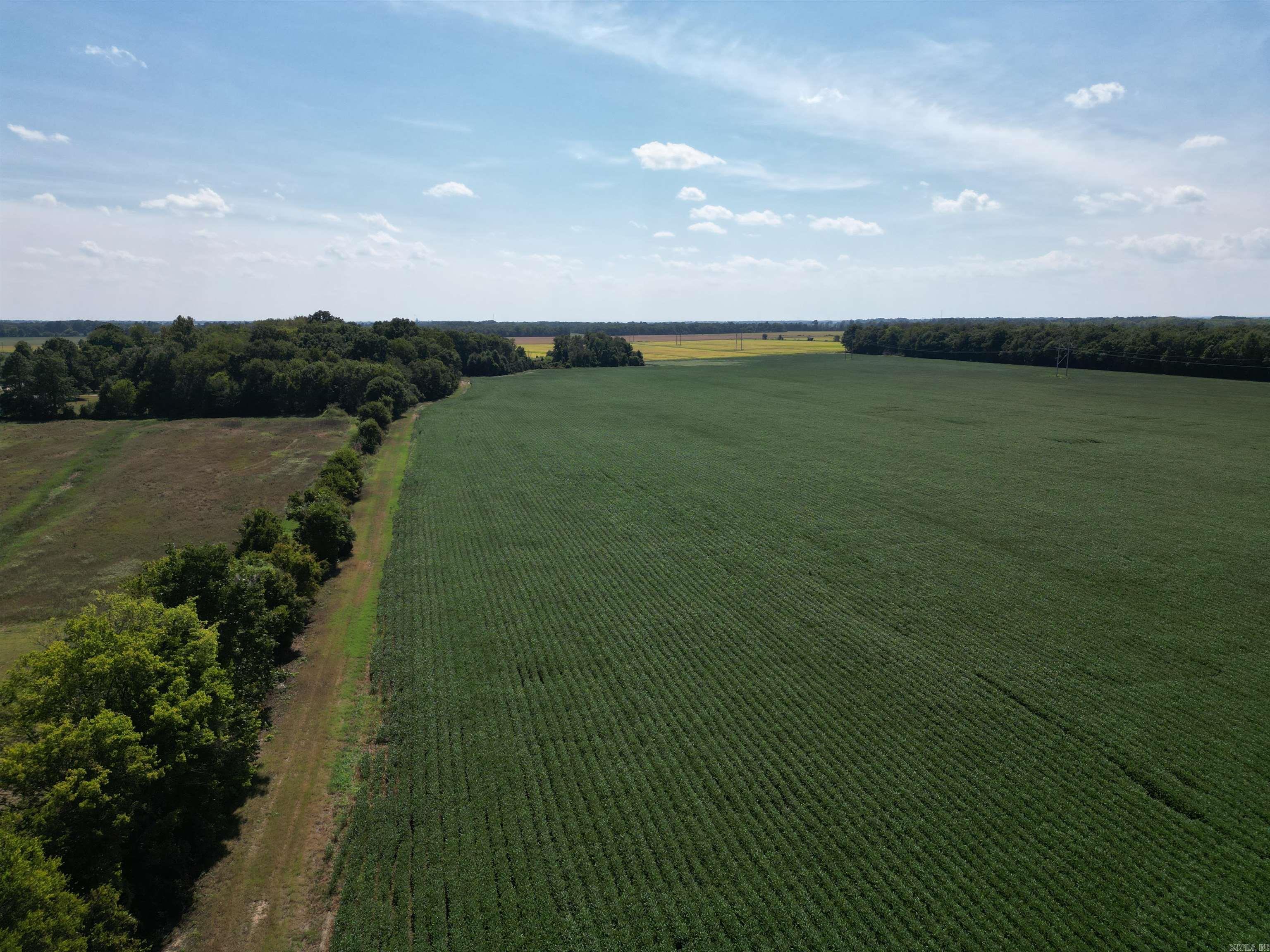 0000 Highway 367 N Property Photo 3