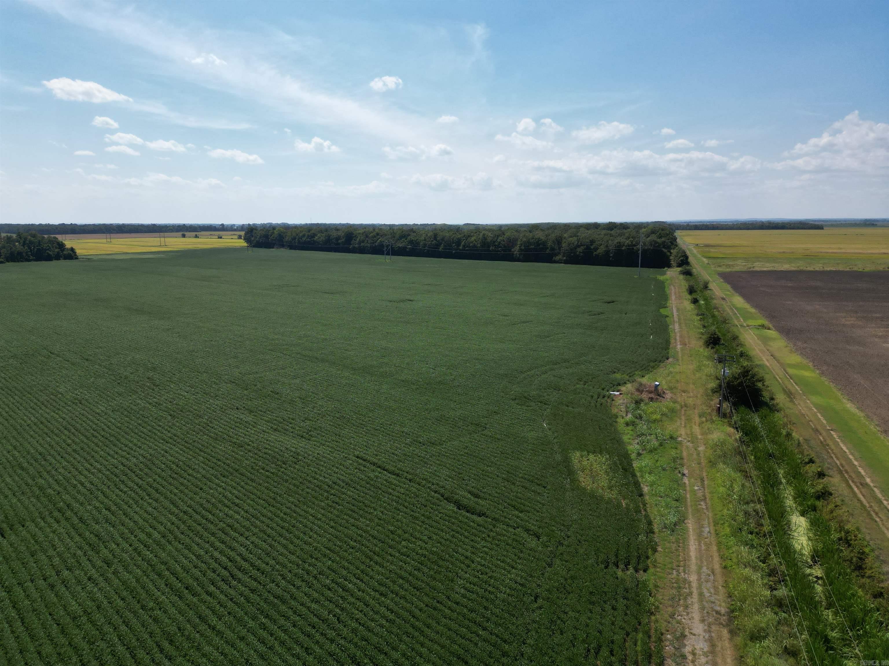 0000 Highway 367 N Property Photo 4