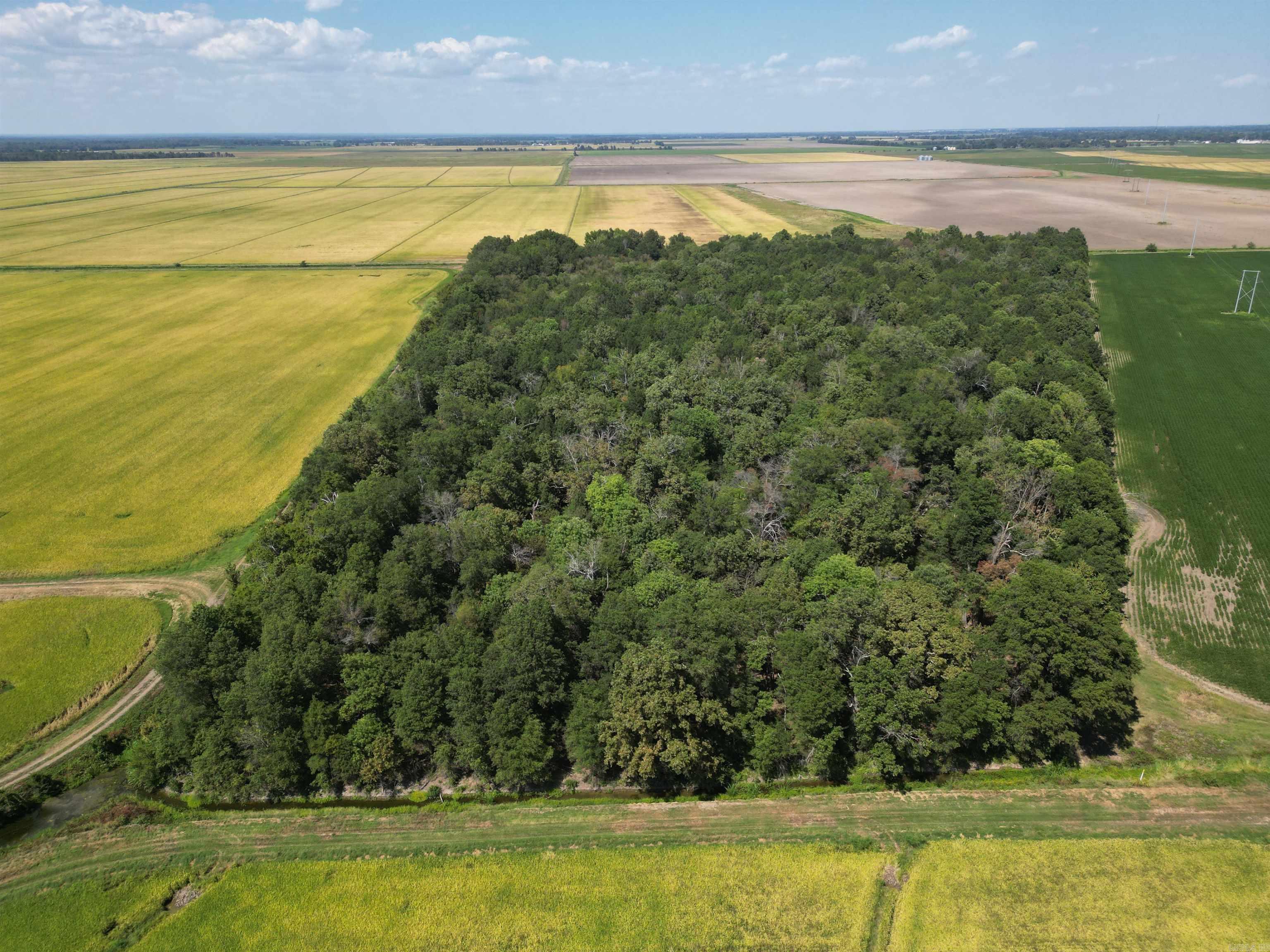 0000 Highway 367 N Property Photo 9