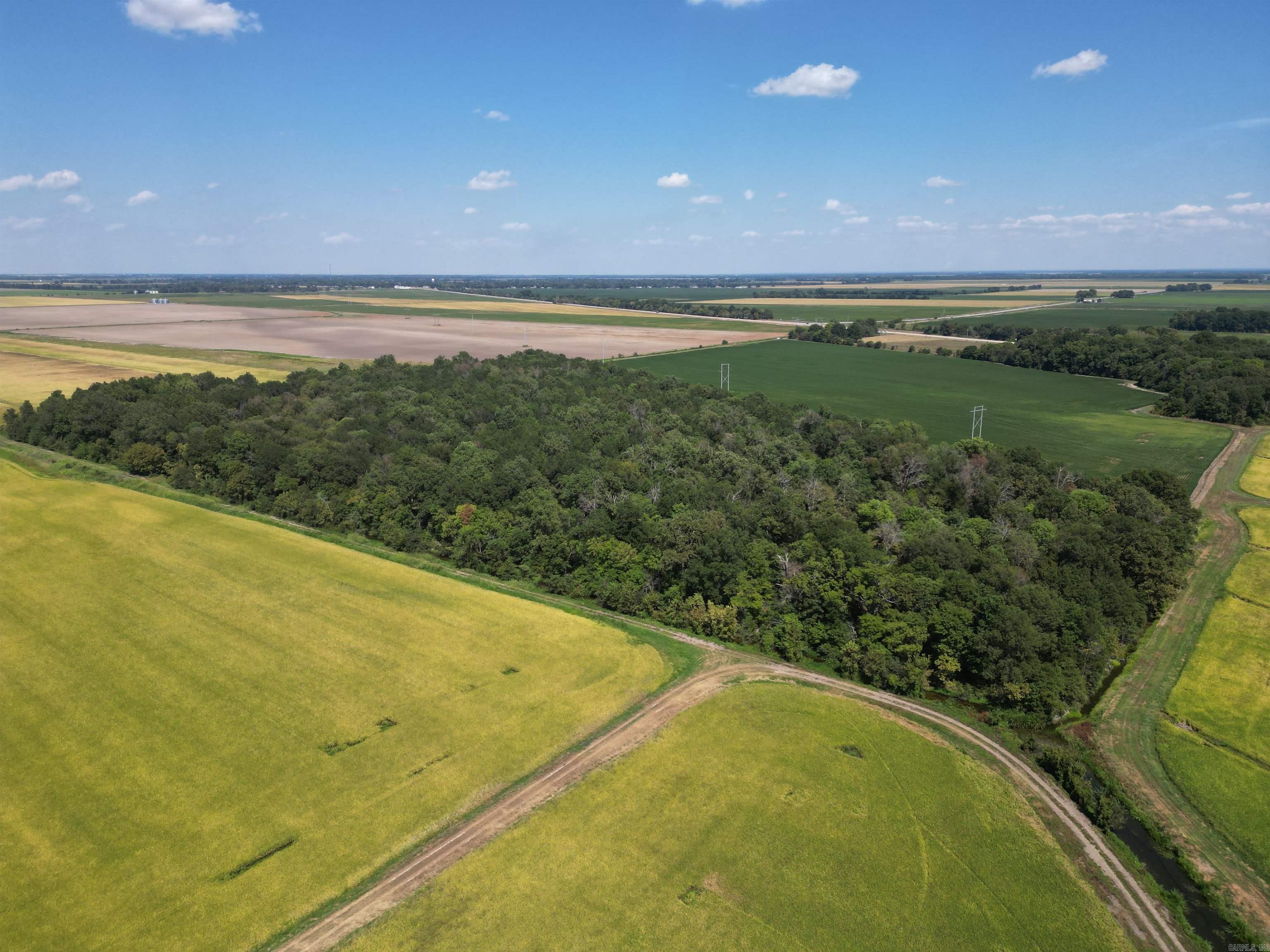 0000 Highway 367 N Property Photo 10