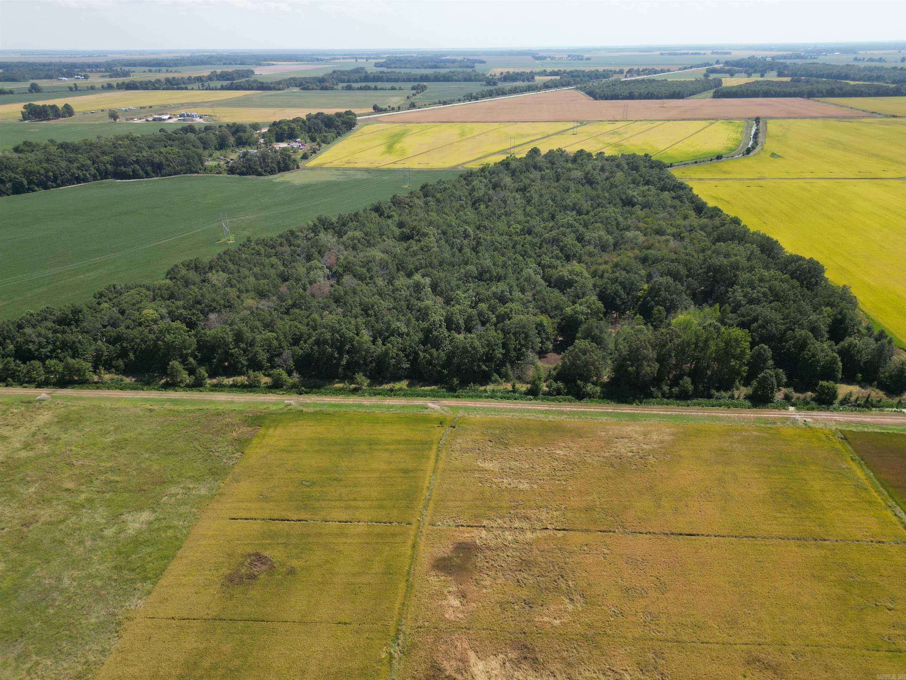 0000 Highway 367 N Property Photo 12