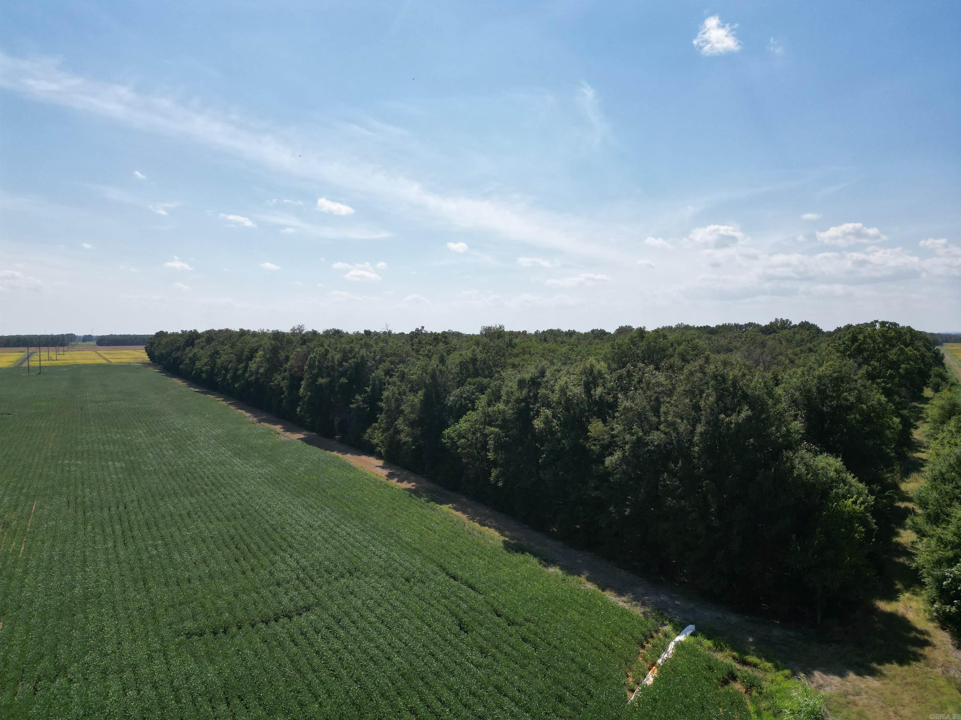0000 Highway 367 N Property Photo 14