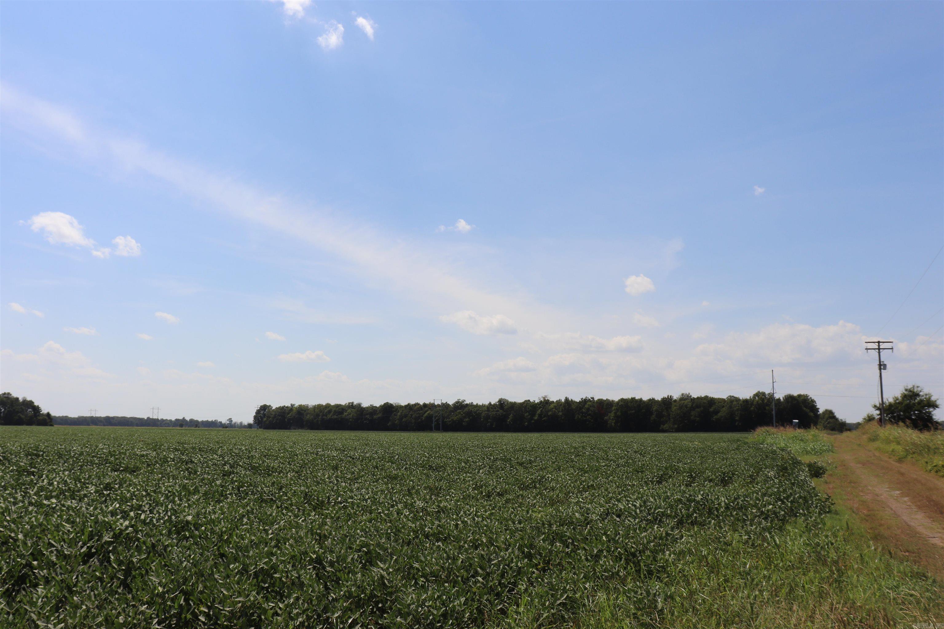 0000 Highway 367 N Property Photo 20