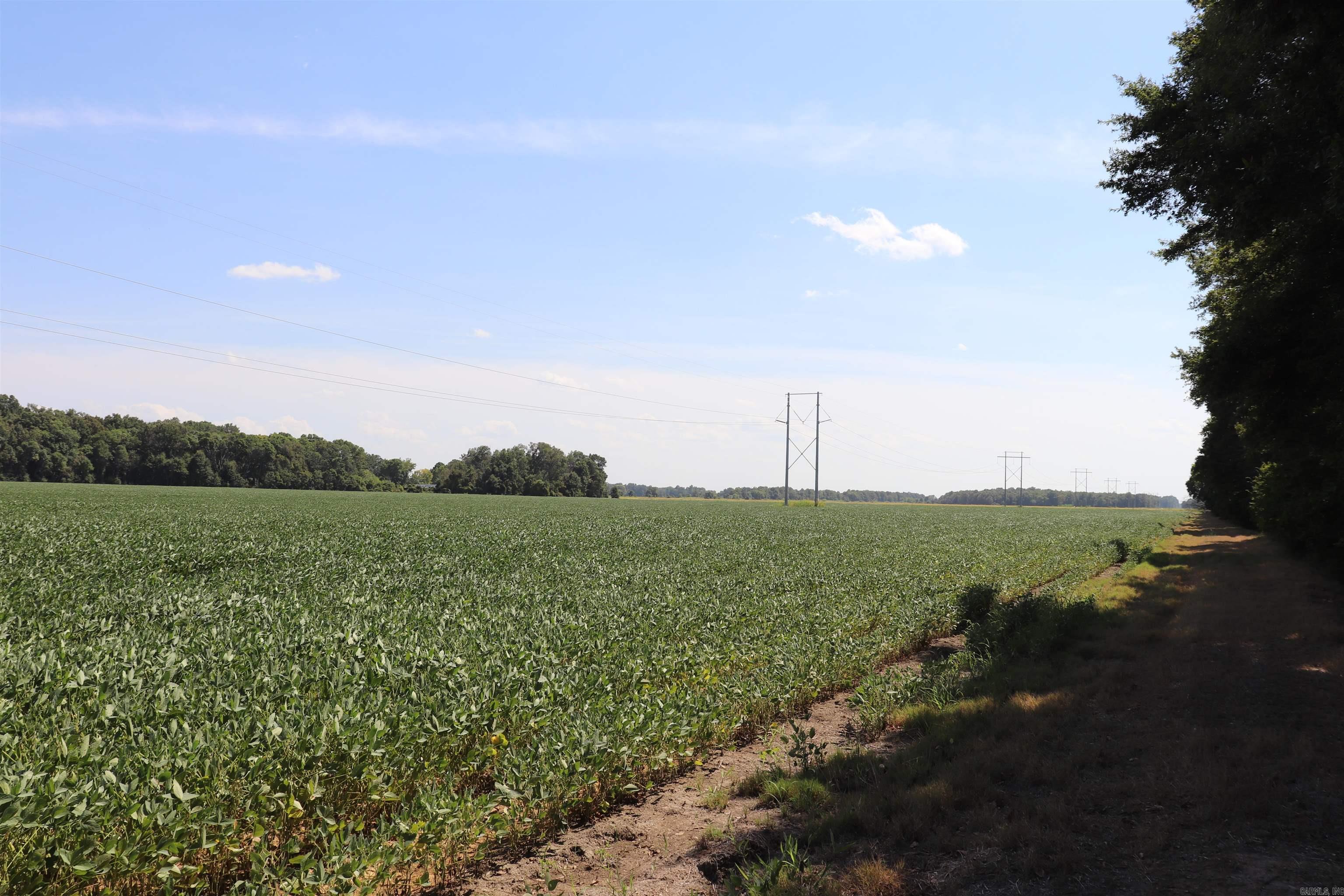 0000 Highway 367 N Property Photo 33