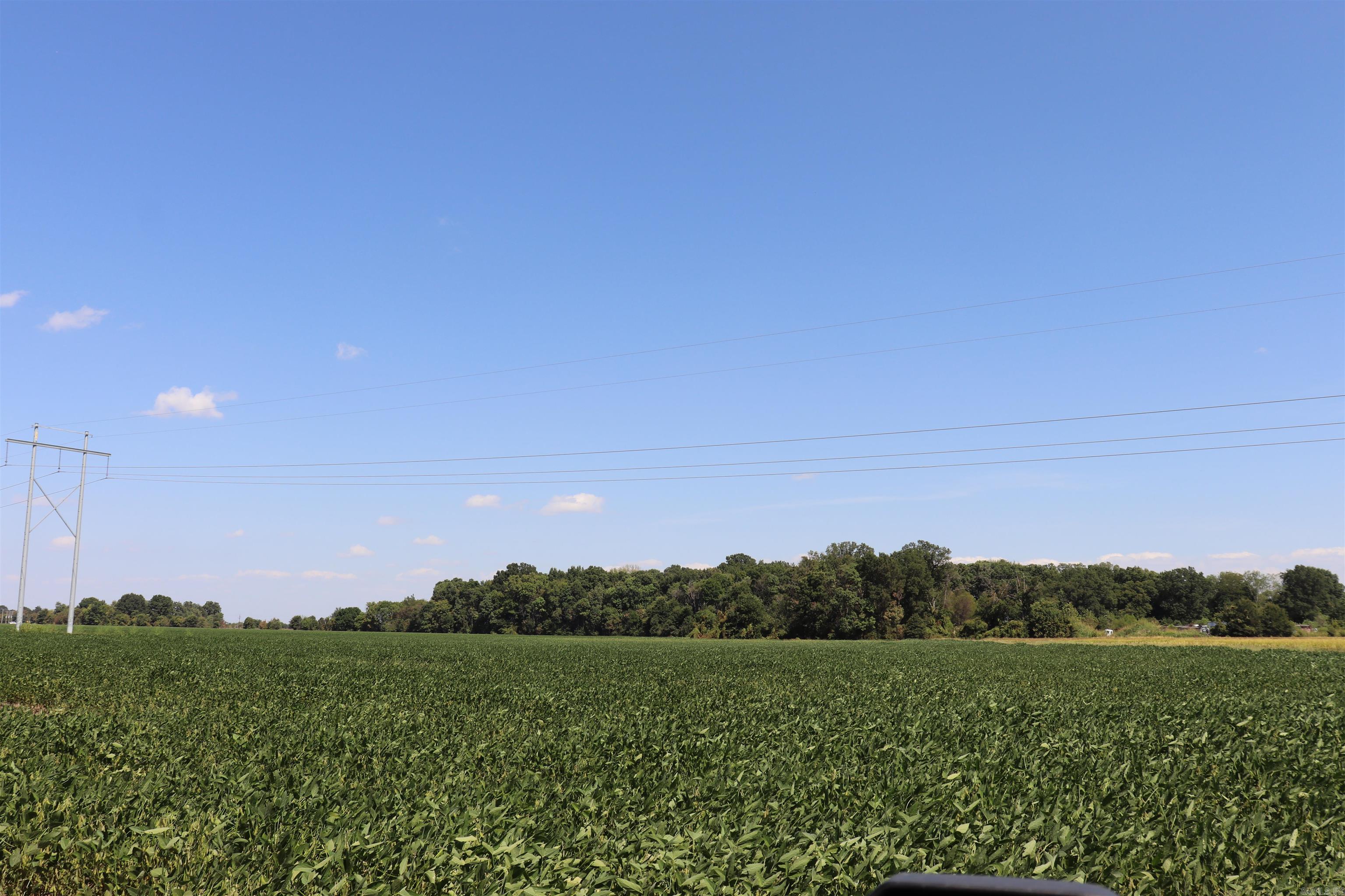 0000 Highway 367 N Property Photo 35
