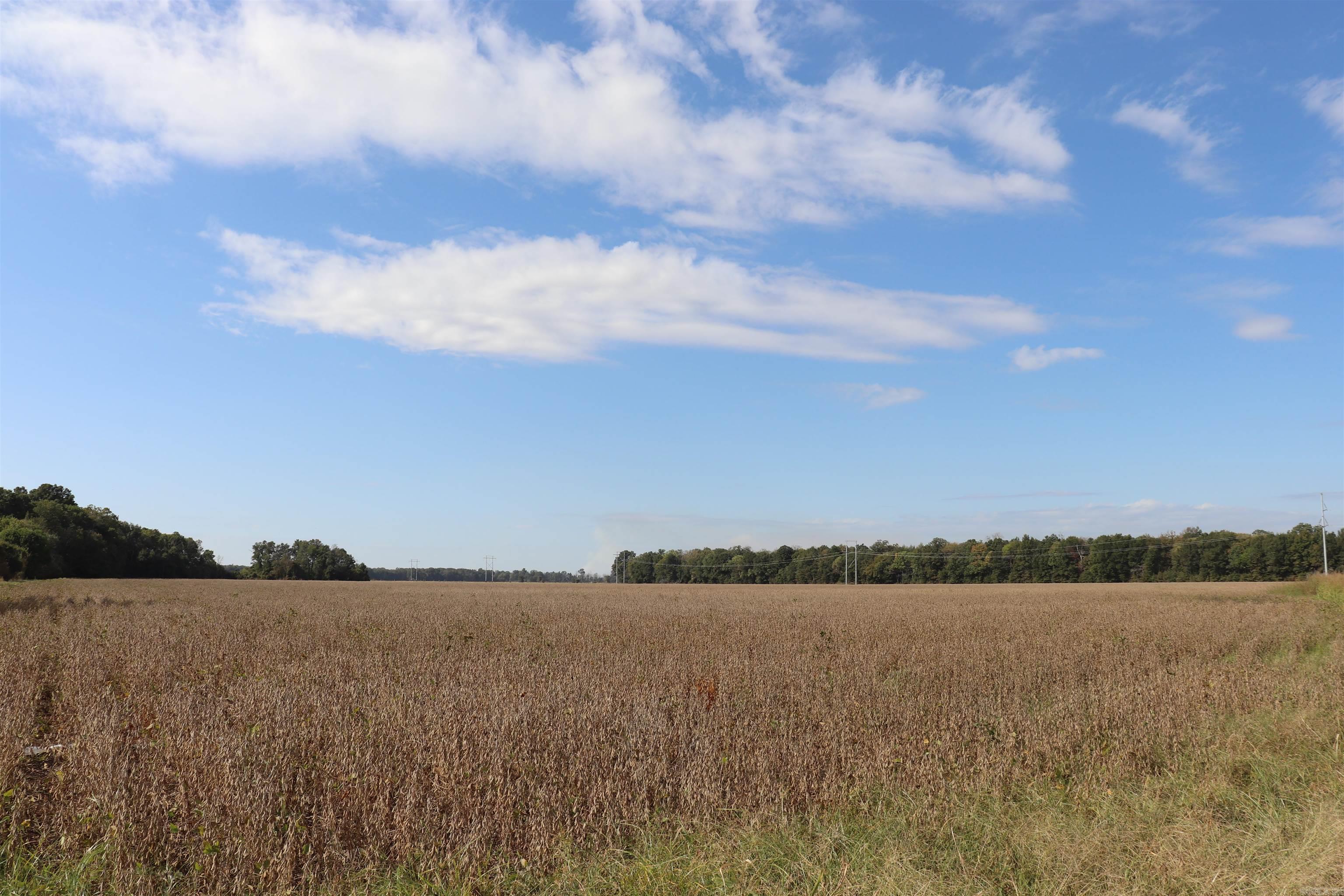 0000 Highway 367 N Property Photo 37