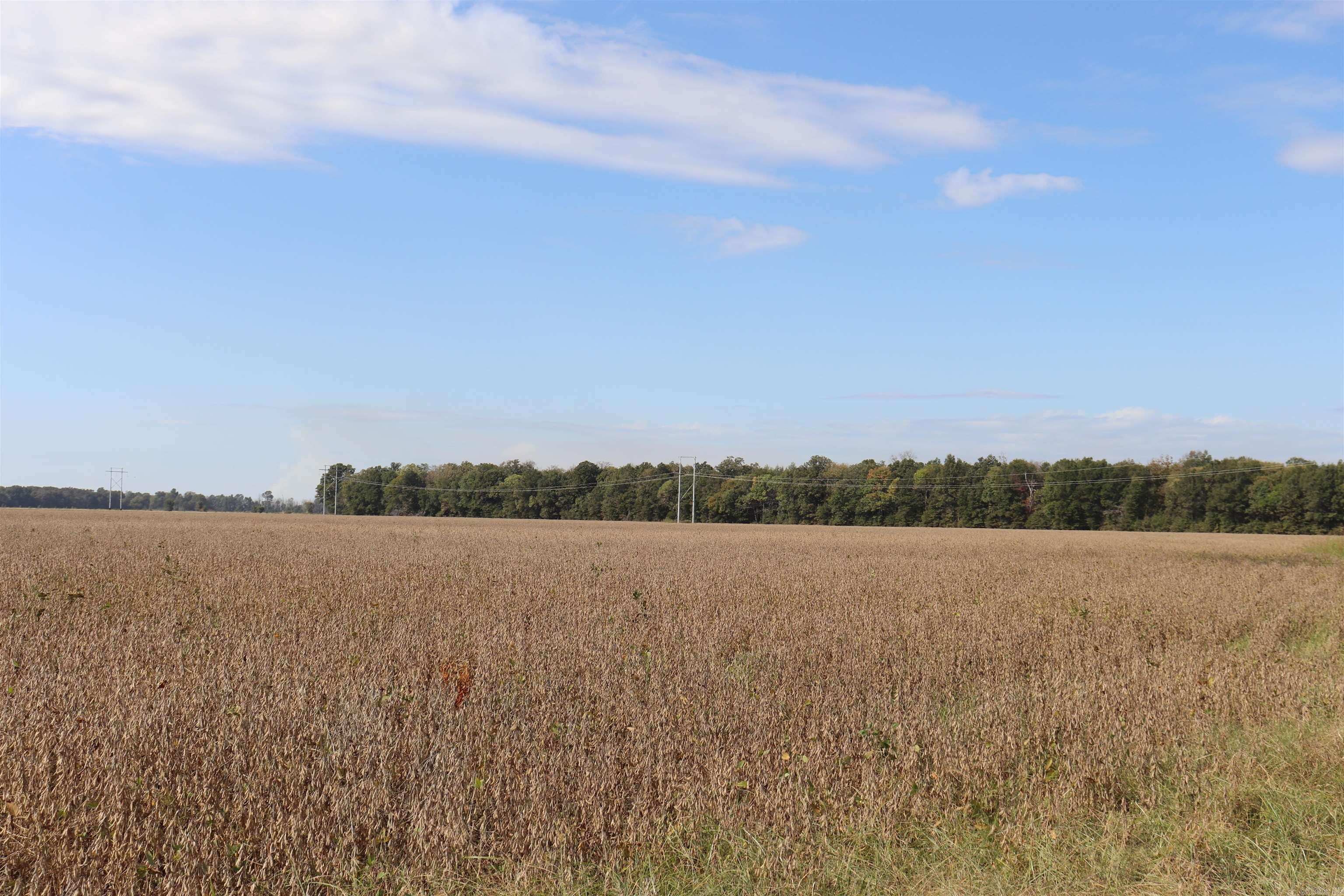 0000 Highway 367 N Property Photo 38
