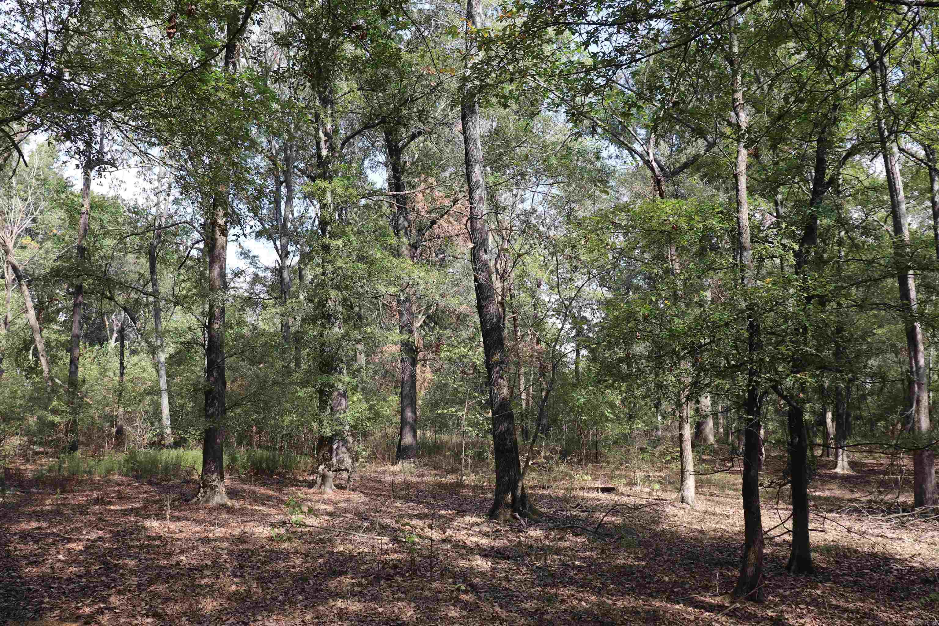 0000 Highway 367 N Property Photo 43