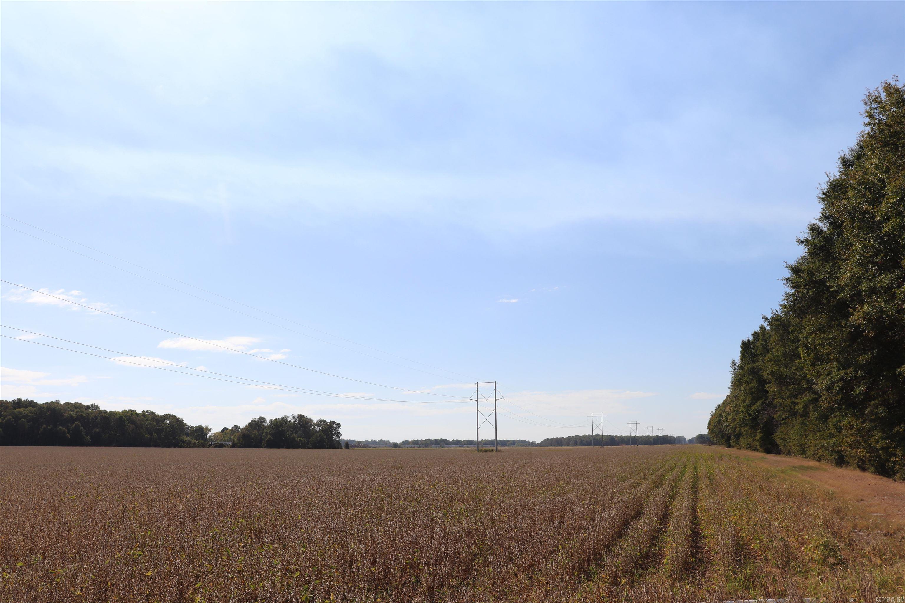 0000 Highway 367 N Property Photo 44