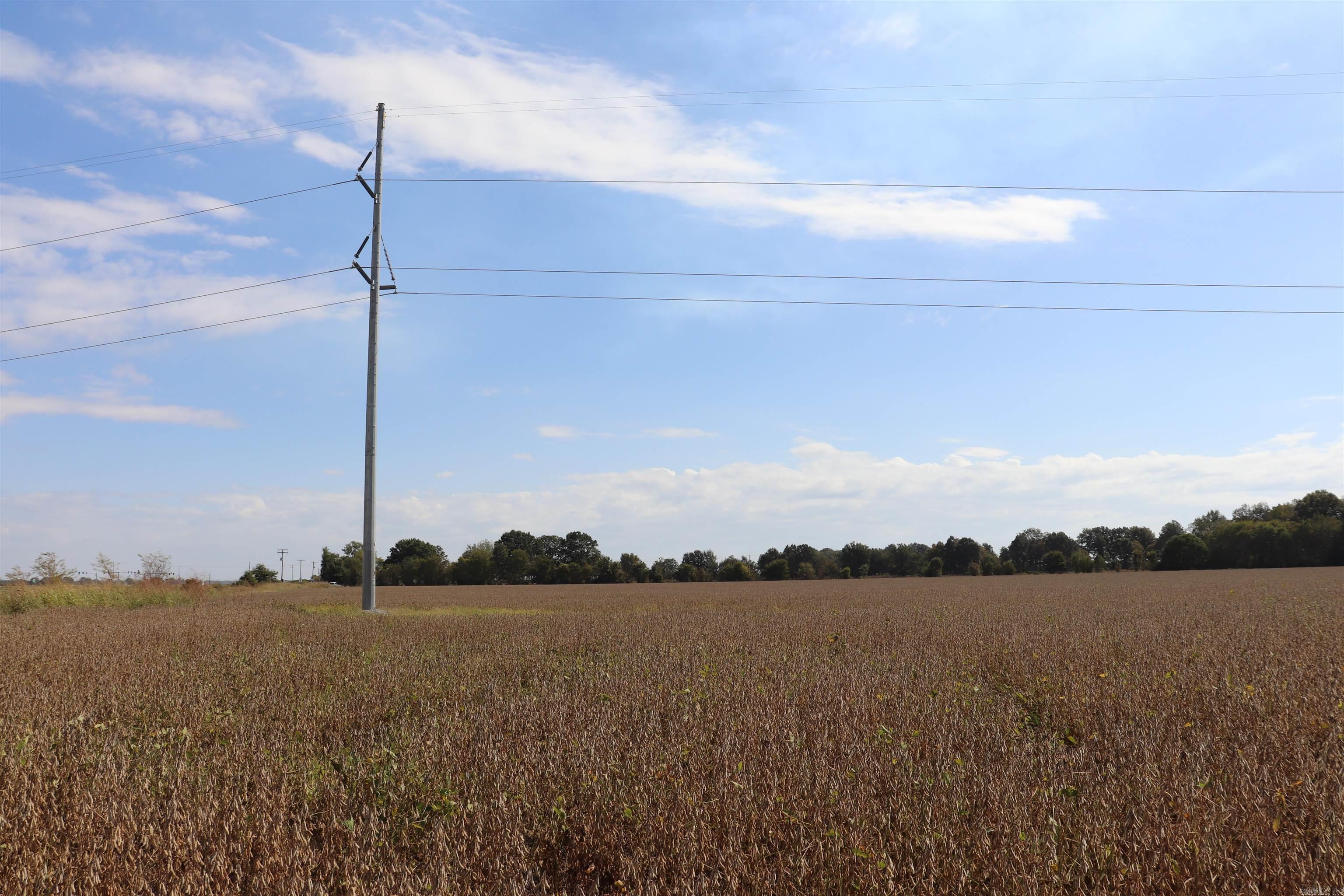 0000 Highway 367 N Property Photo 48