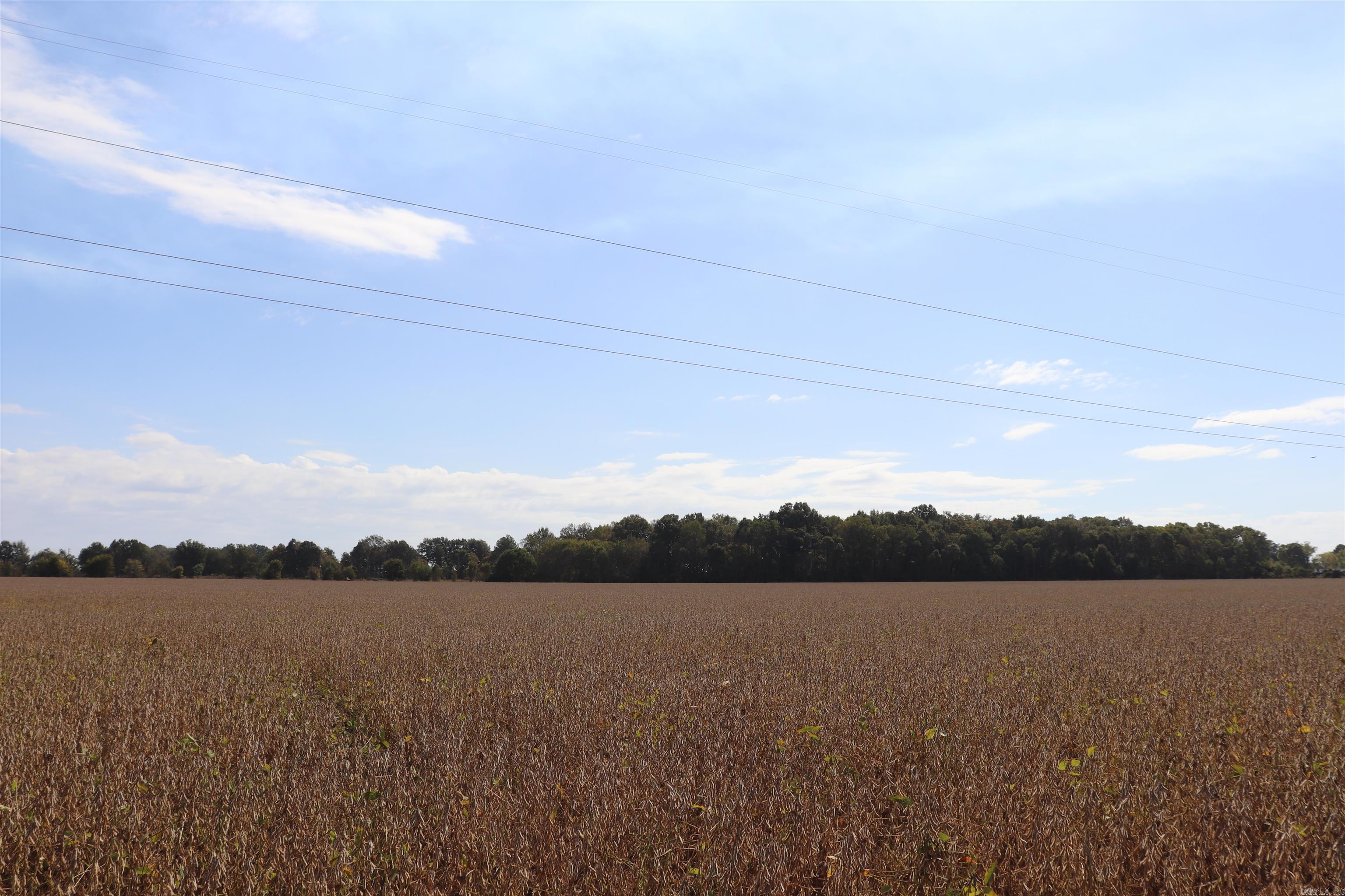 0000 Highway 367 N Property Photo 49