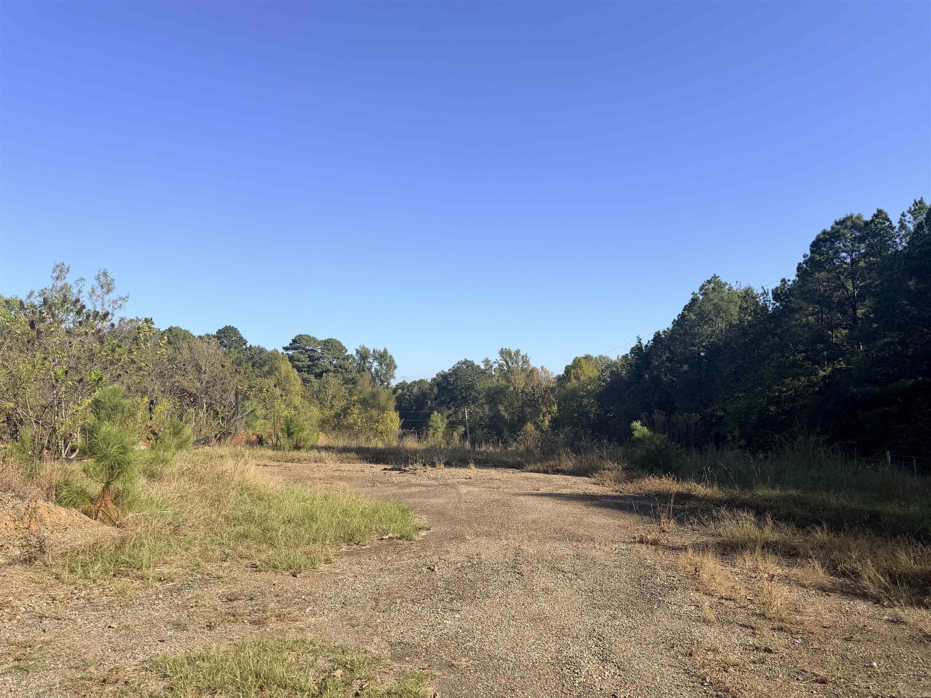 821 Possum Hollow Road Property Photo 2
