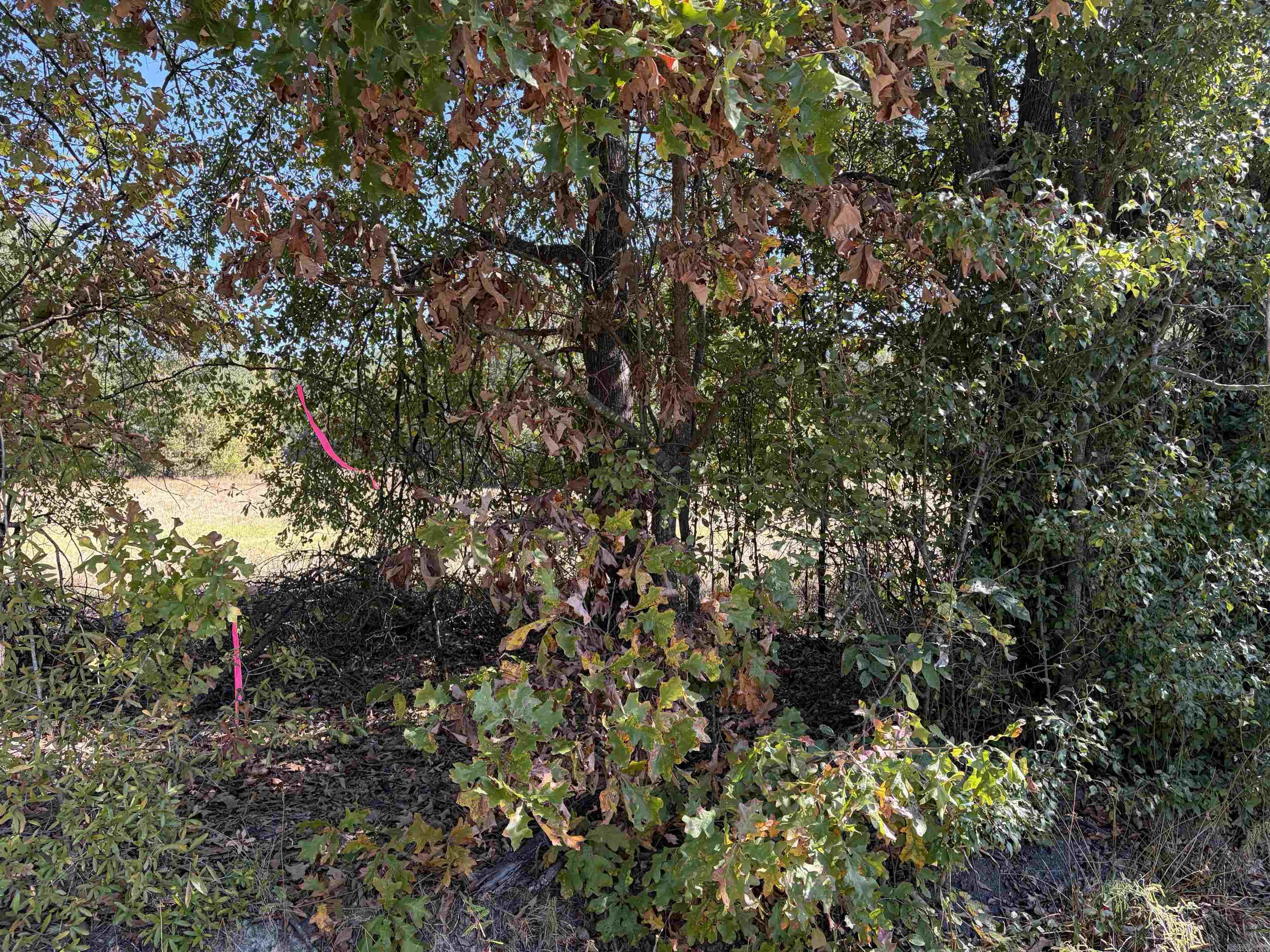 00B Stringham Property Photo 1