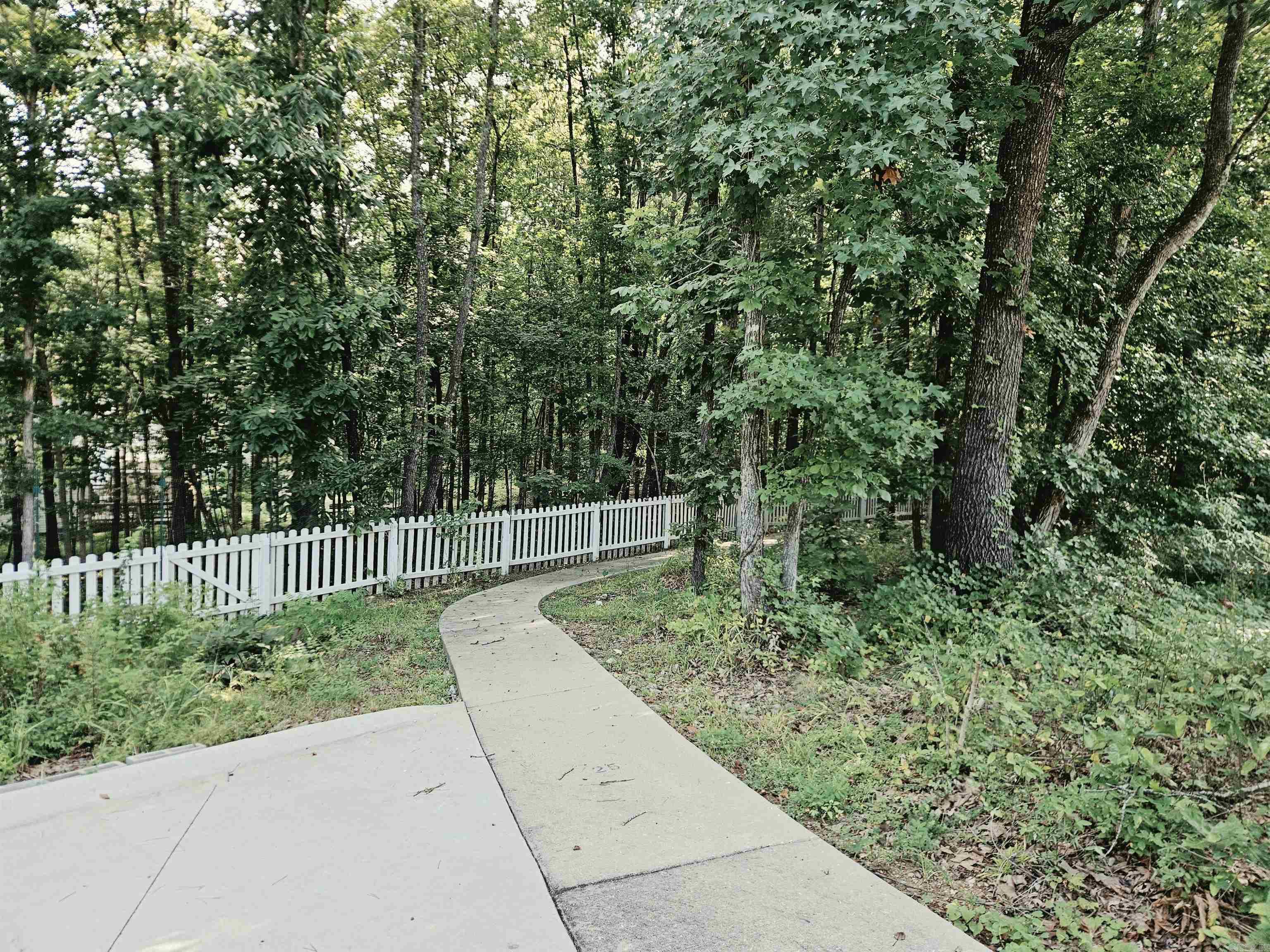 9770 Springhill Farms Drive Property Photo 41
