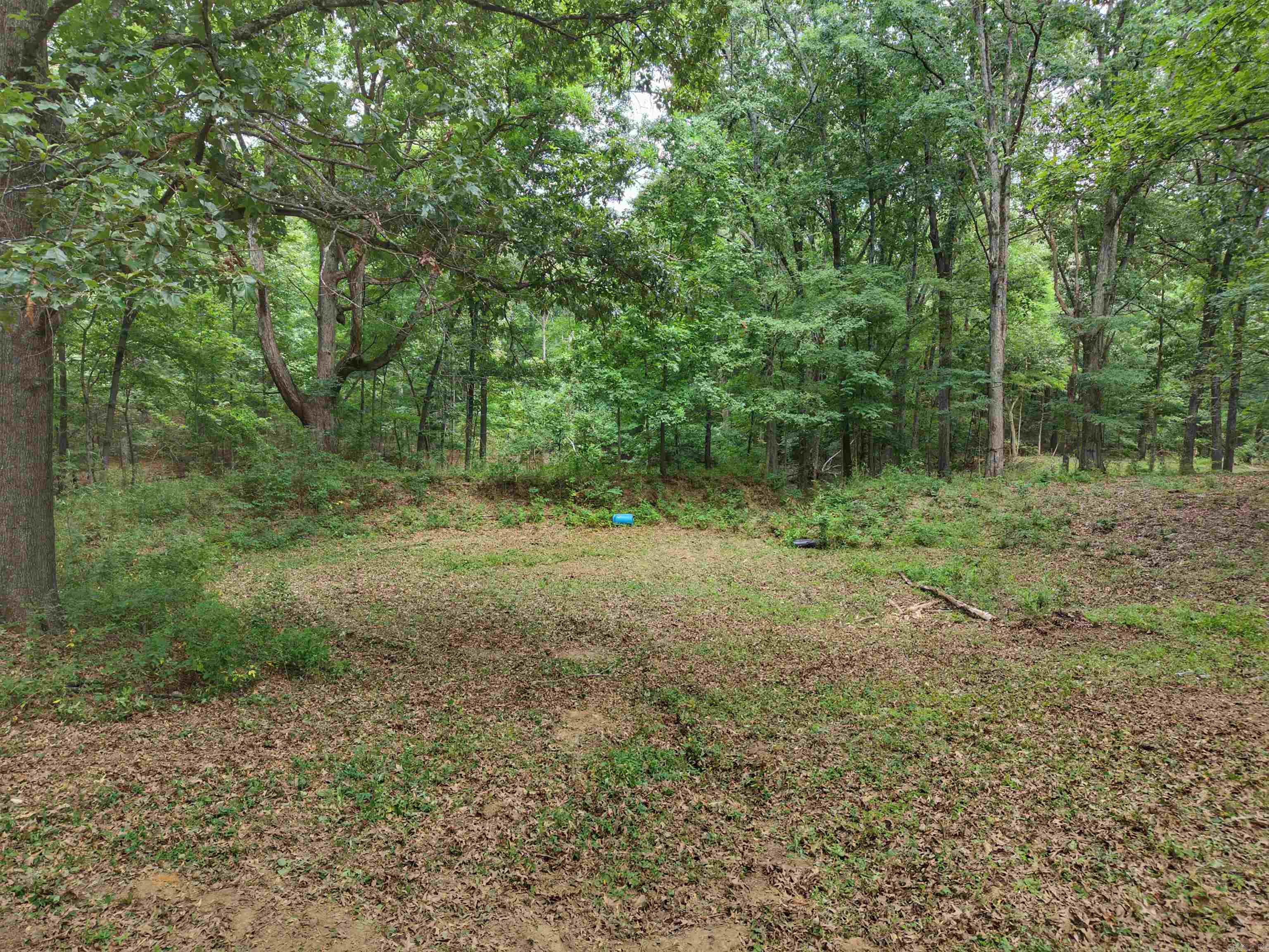 810 Rorex Drive Property Photo 3