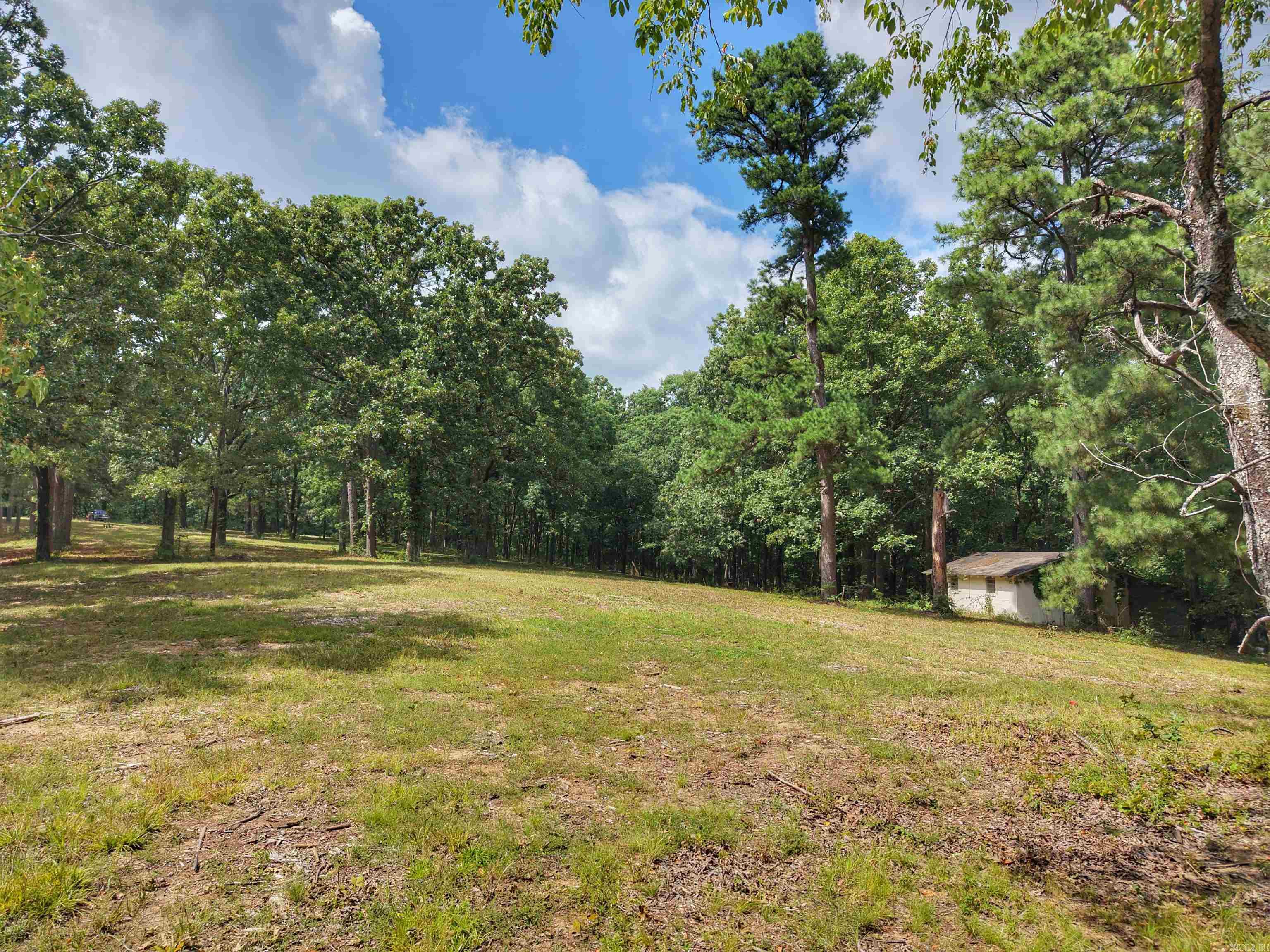 810 Rorex Drive Property Photo 8