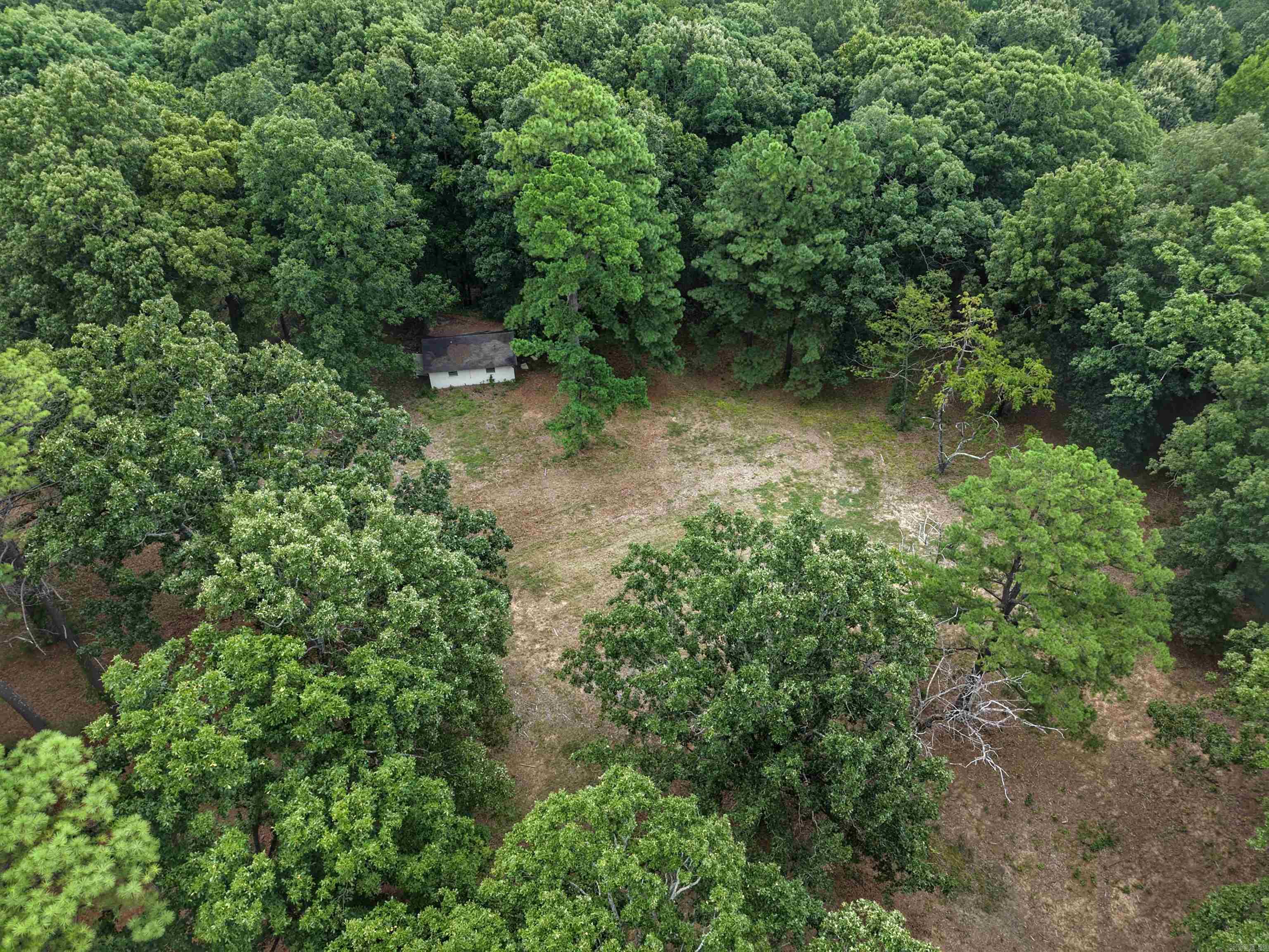 810 Rorex Drive Property Photo 10