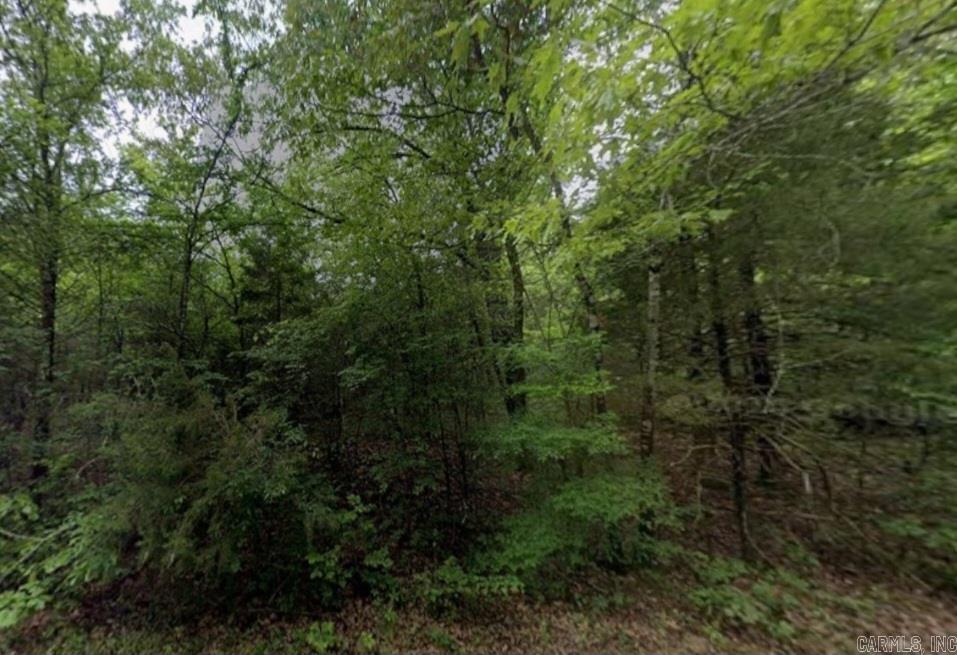 217 Vicksburg Drive Property Photo 1