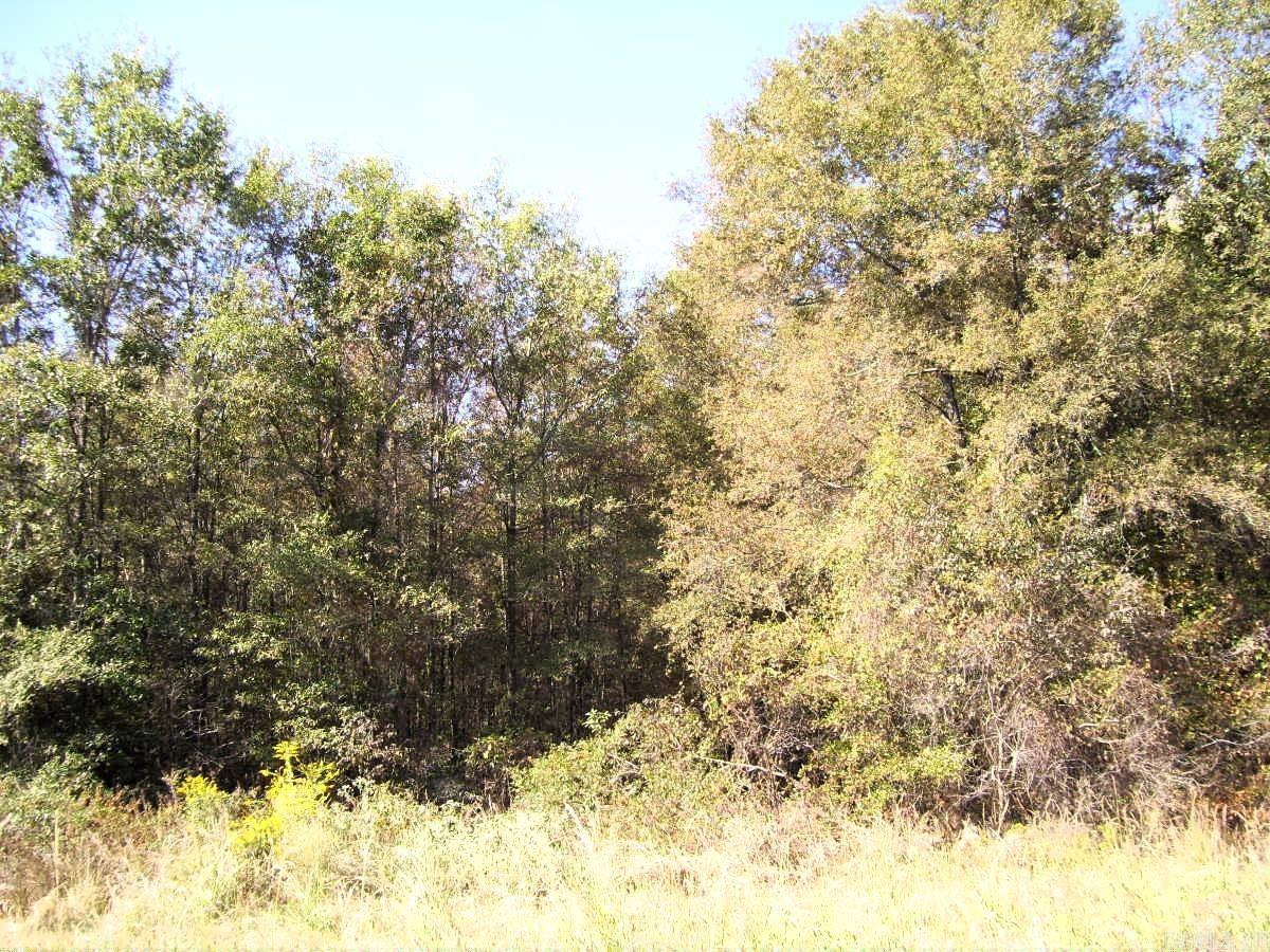 1041 A N Constitution Ave Avenue Property Photo 2