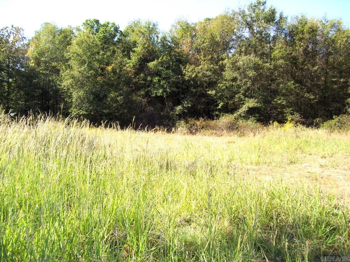 1041 A N Constitution Ave Avenue Property Photo 5
