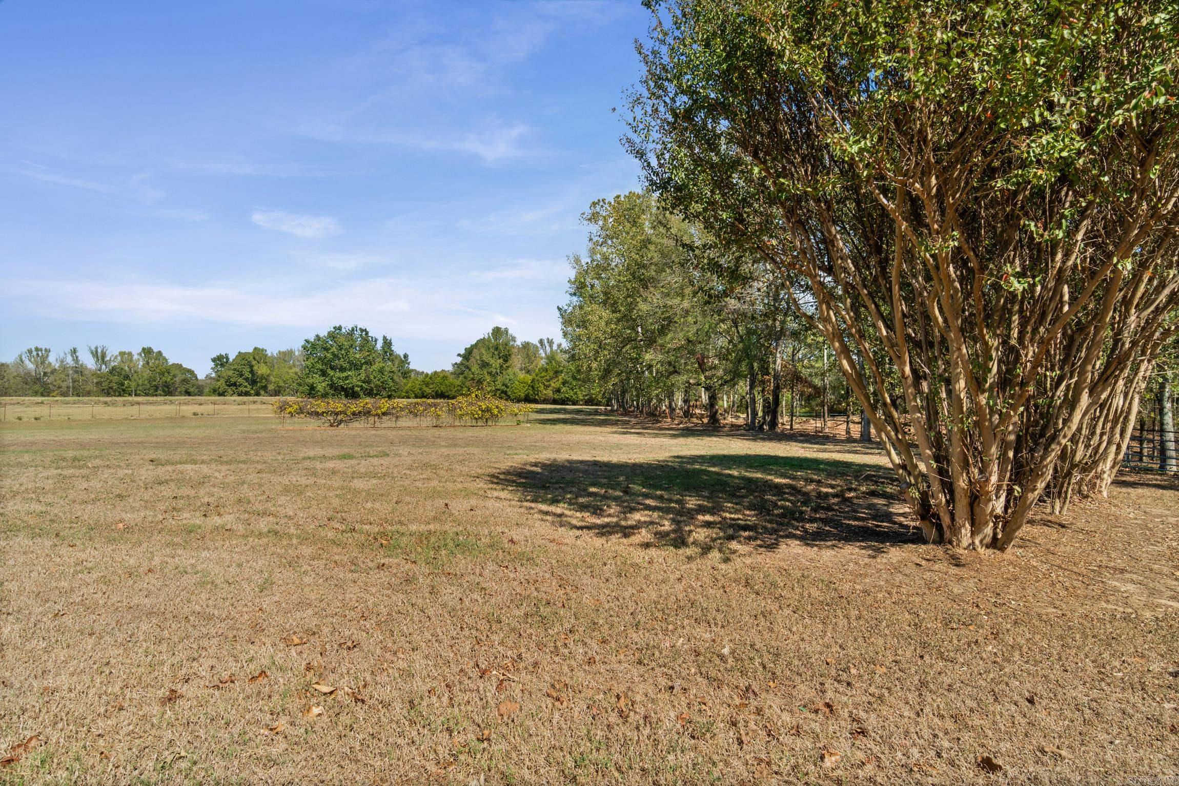 1177 Hwy 258 Property Photo 13