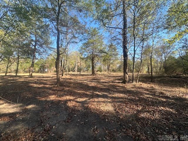 000 Hwy 258 Property Photo 5