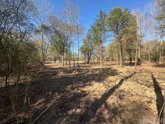 000 Hwy 258 Property Photo 14
