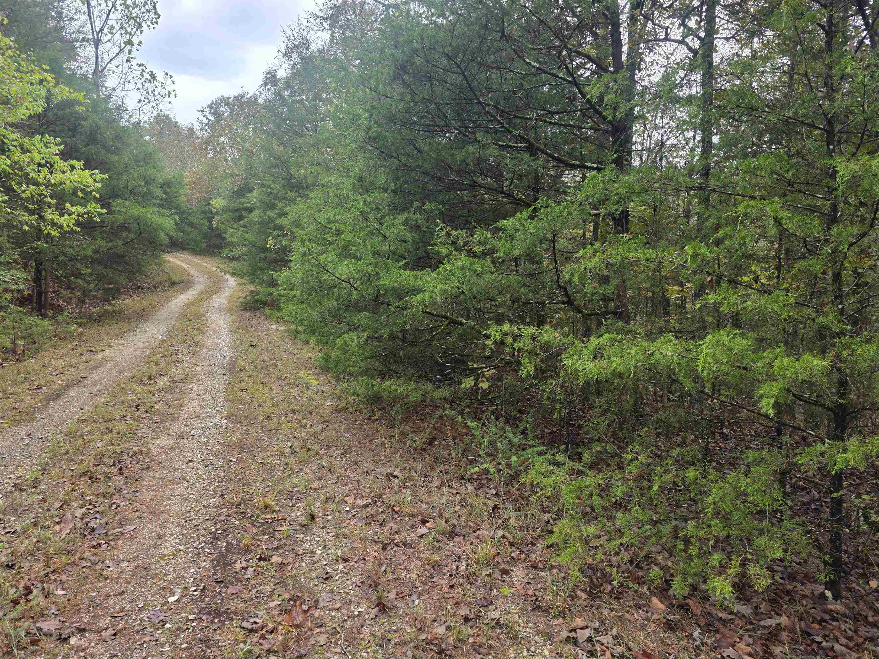 L-9, B-3 Yunsawi Trace Property Photo 2