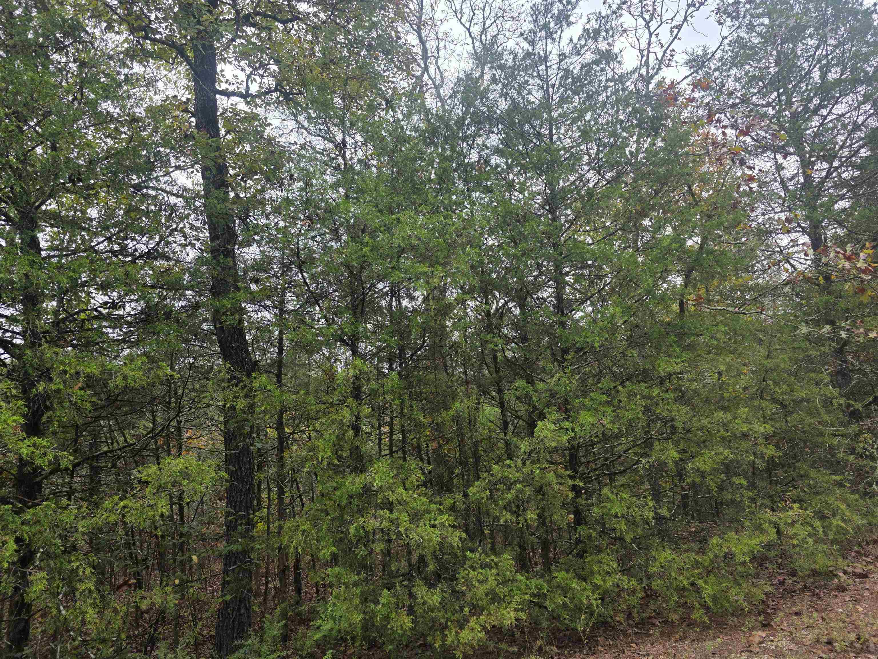 L-9, B-3 Yunsawi Trace Property Photo 3