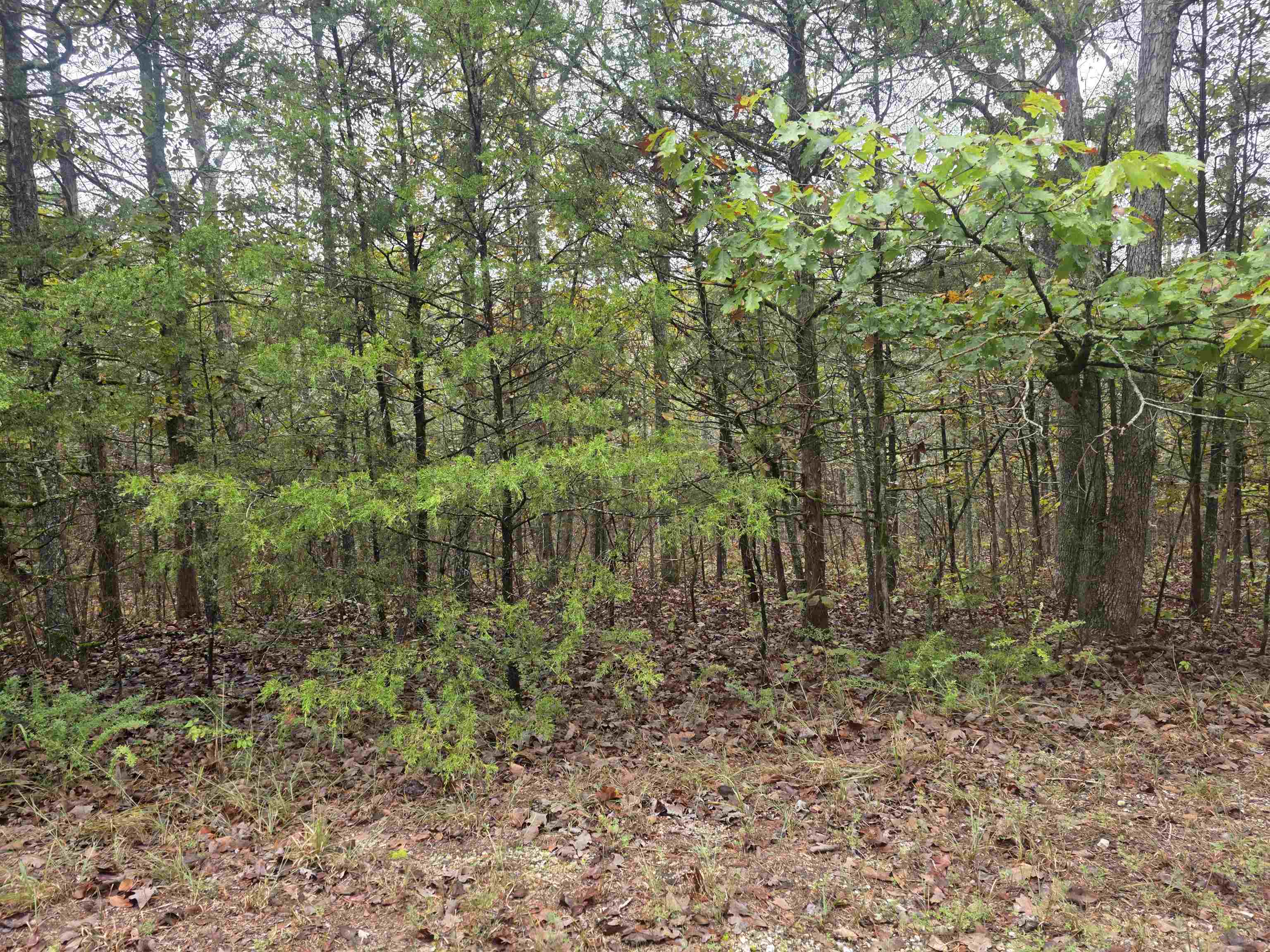 L-9, B-3 Yunsawi Trace Property Photo 4