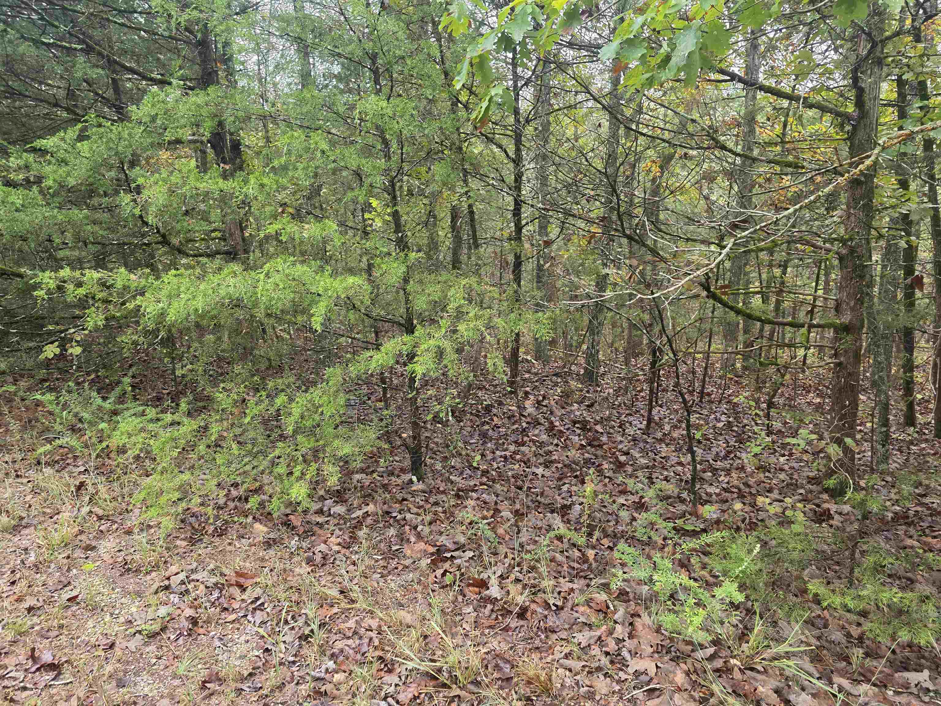 L-9, B-3 Yunsawi Trace Property Photo 5