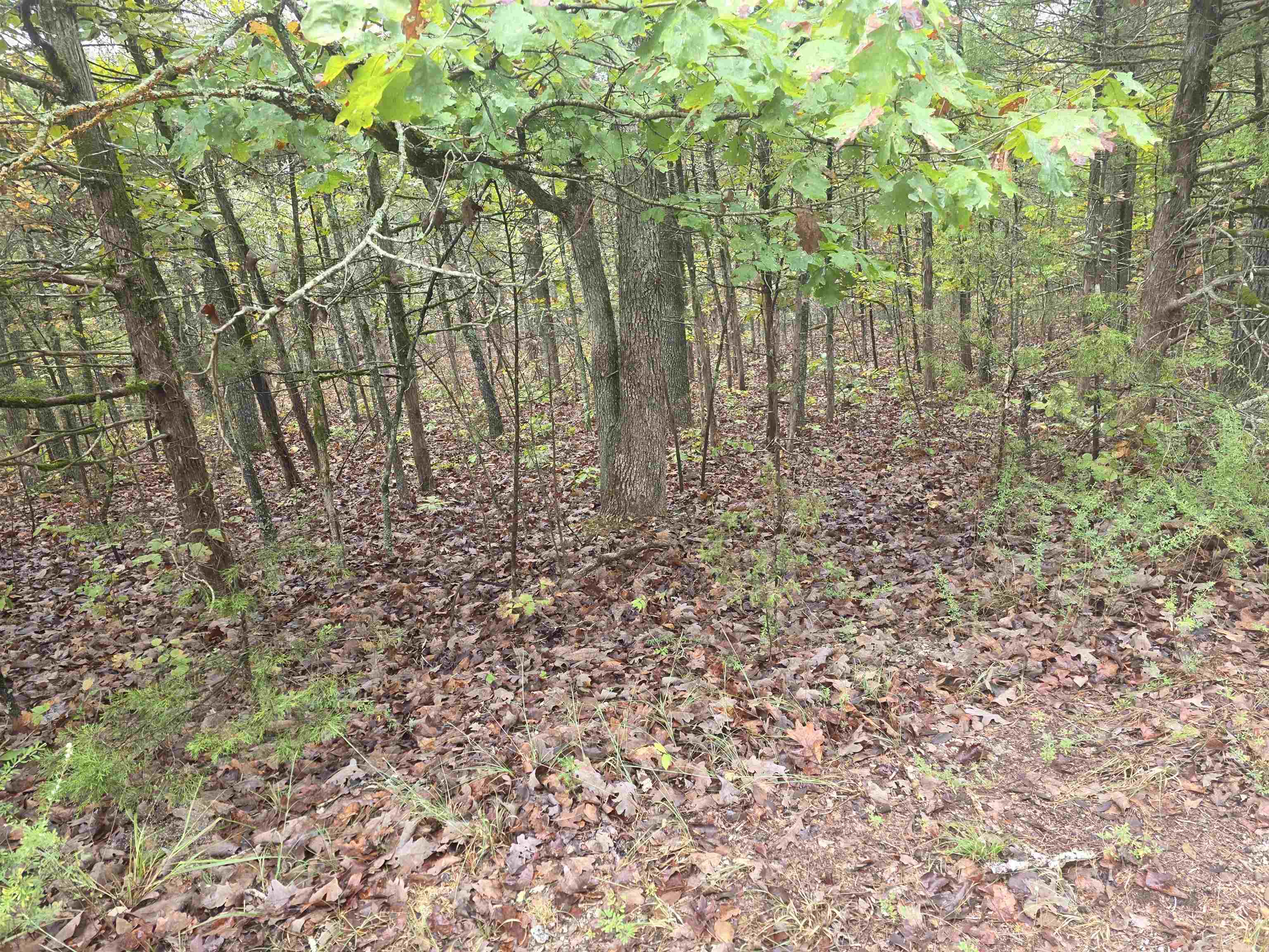 L-9, B-3 Yunsawi Trace Property Photo 6
