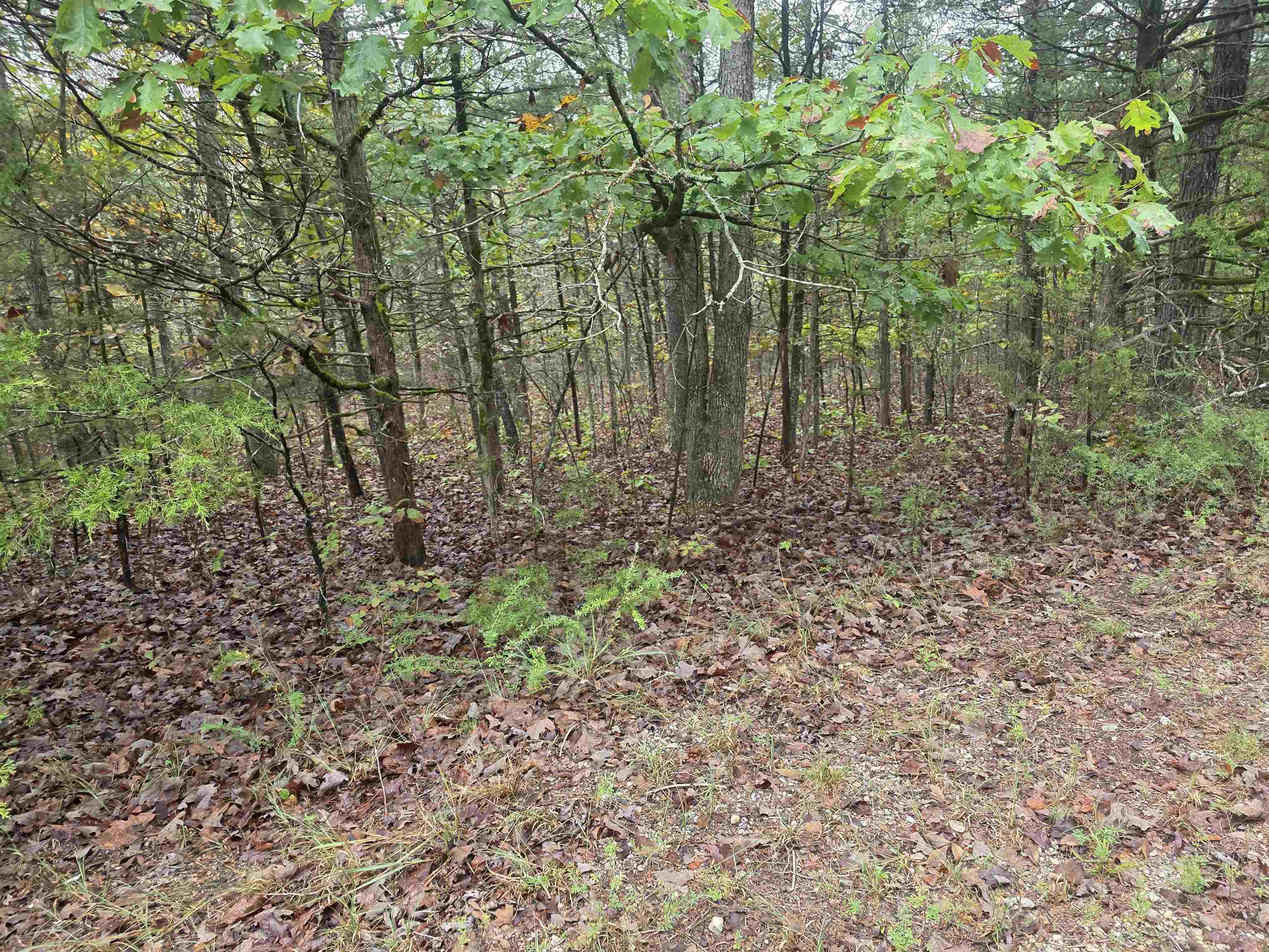 L-9, B-3 Yunsawi Trace Property Photo 7