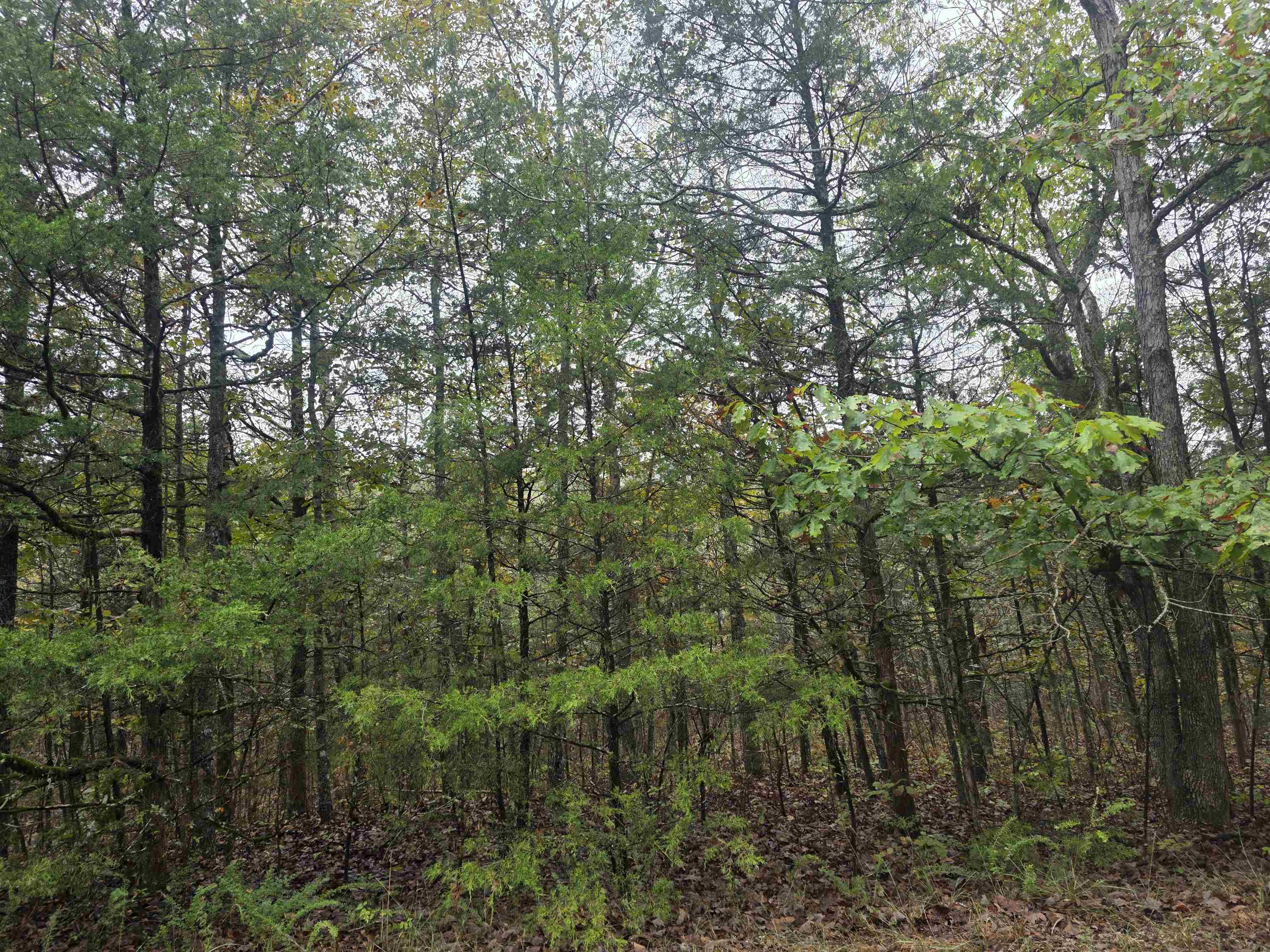 L-9, B-3 Yunsawi Trace Property Photo 8