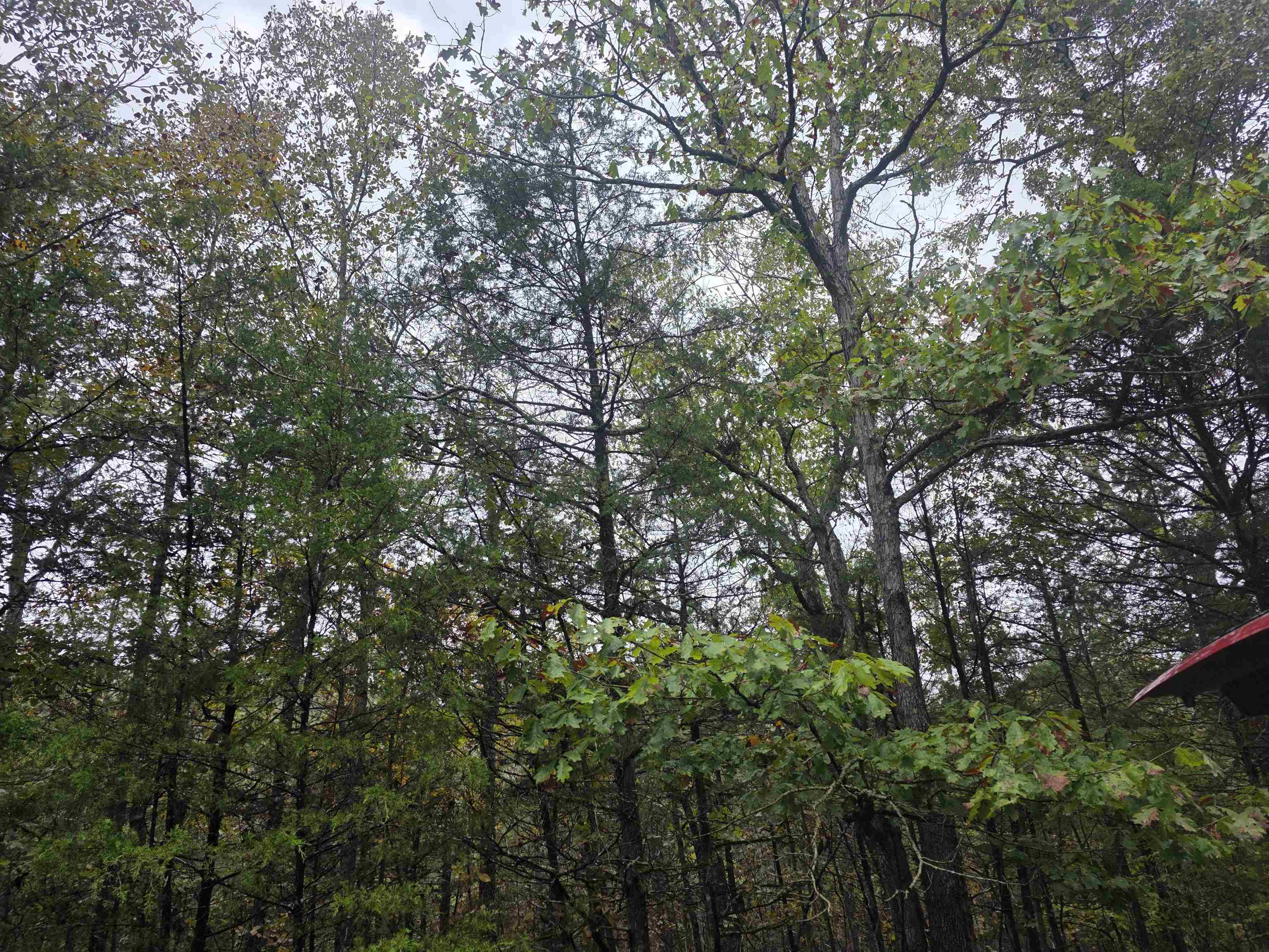 L-9, B-3 Yunsawi Trace Property Photo 9